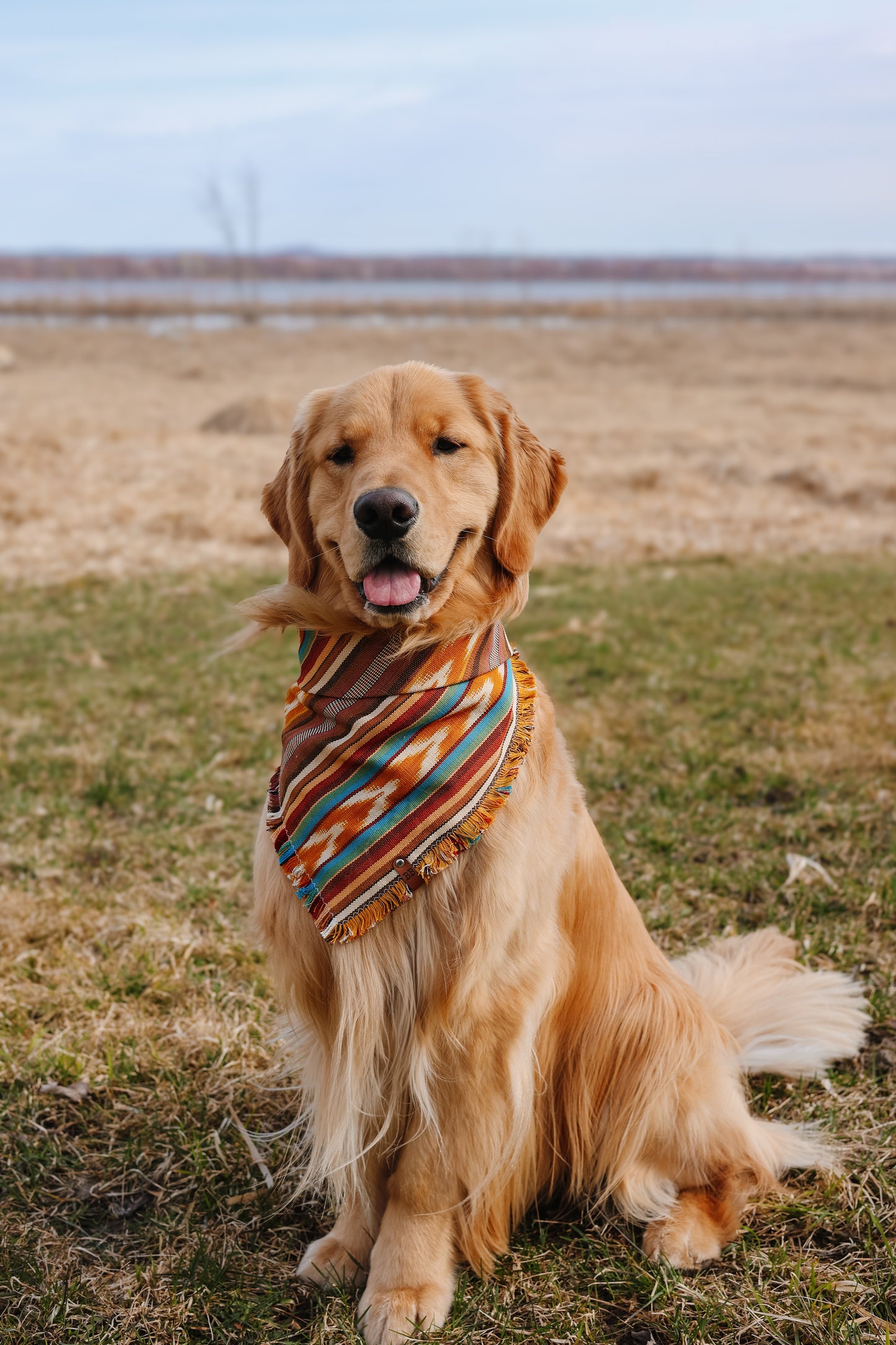 Wild West Bandana