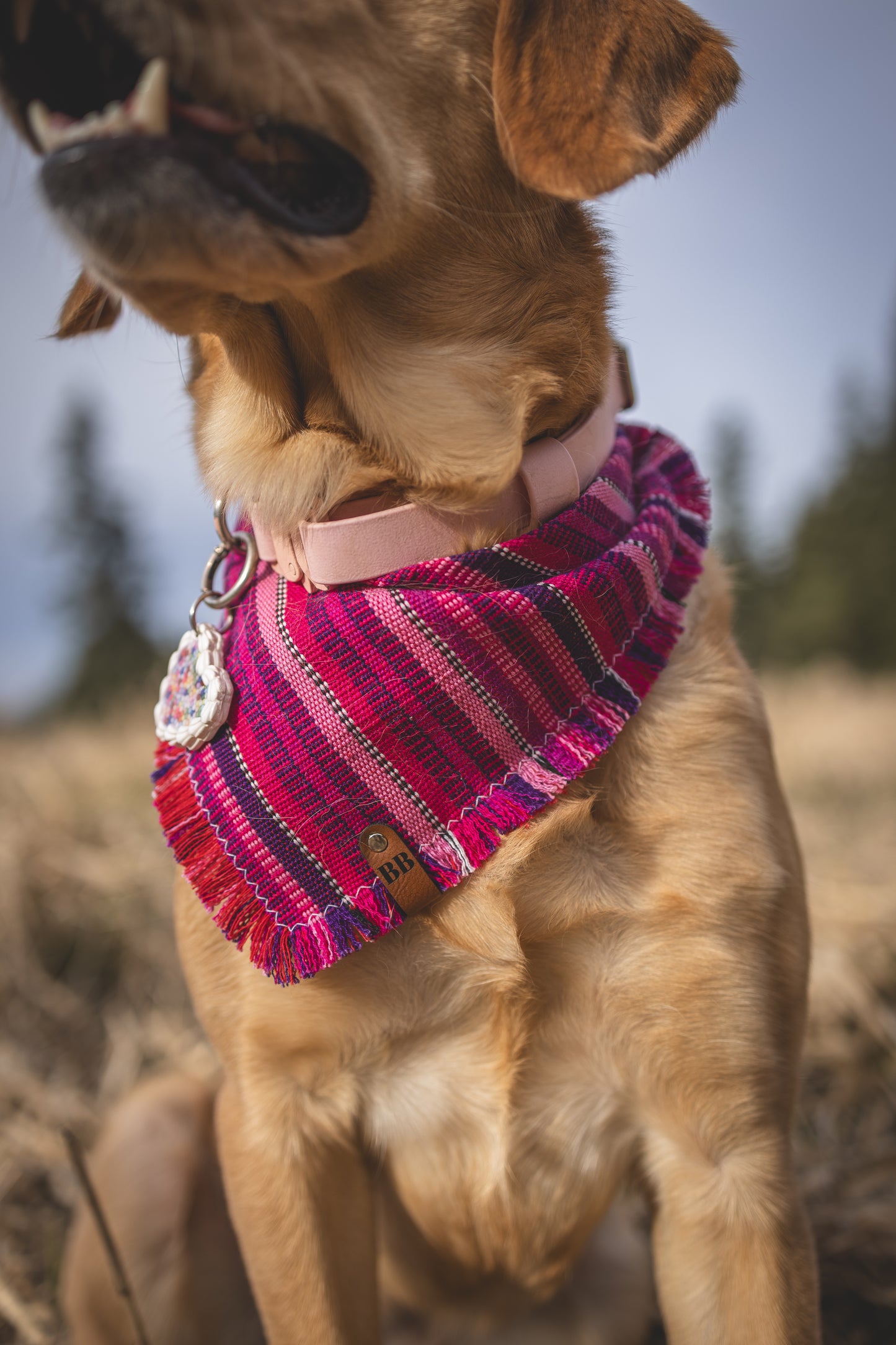 Cheshire Bandana