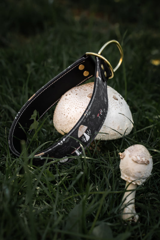 Shrooms Velvet Collar