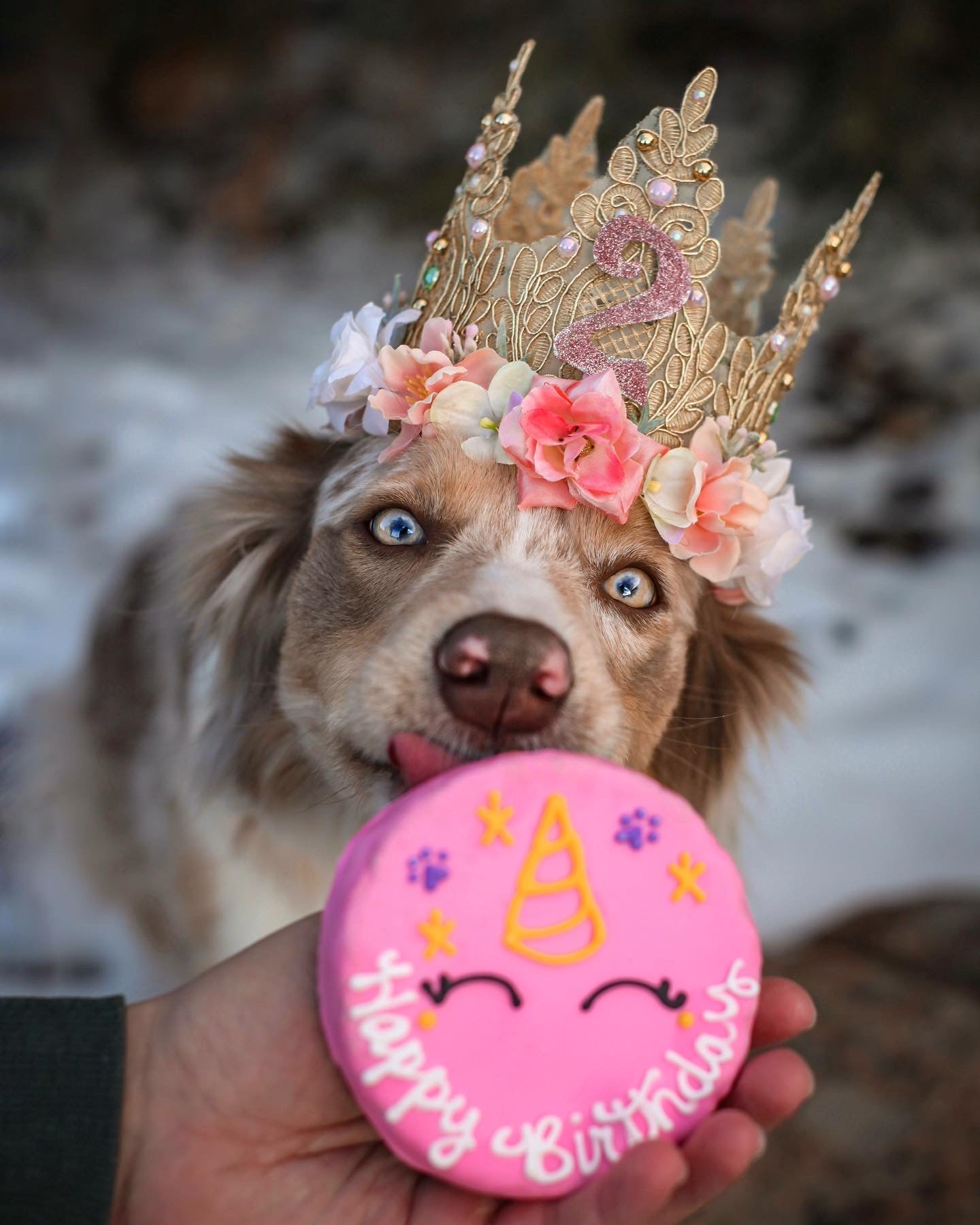Birthday Flower Crown