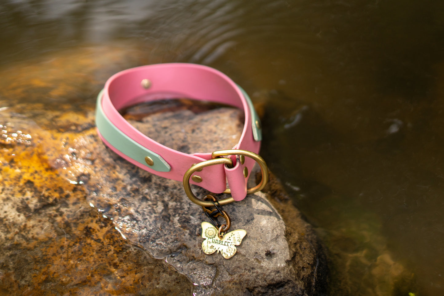 Double Layer Adventure Collar