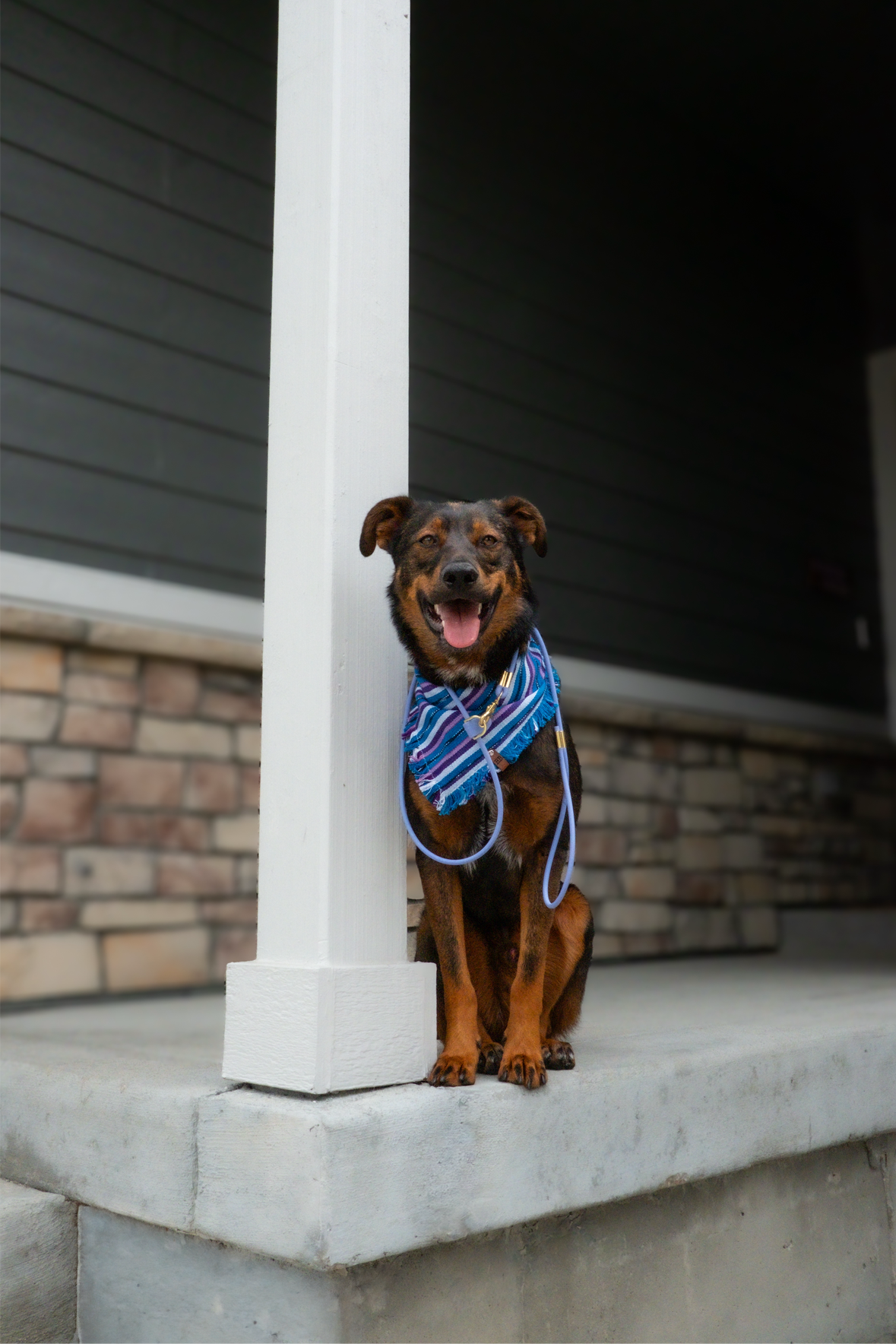 Periwinkle Bandana