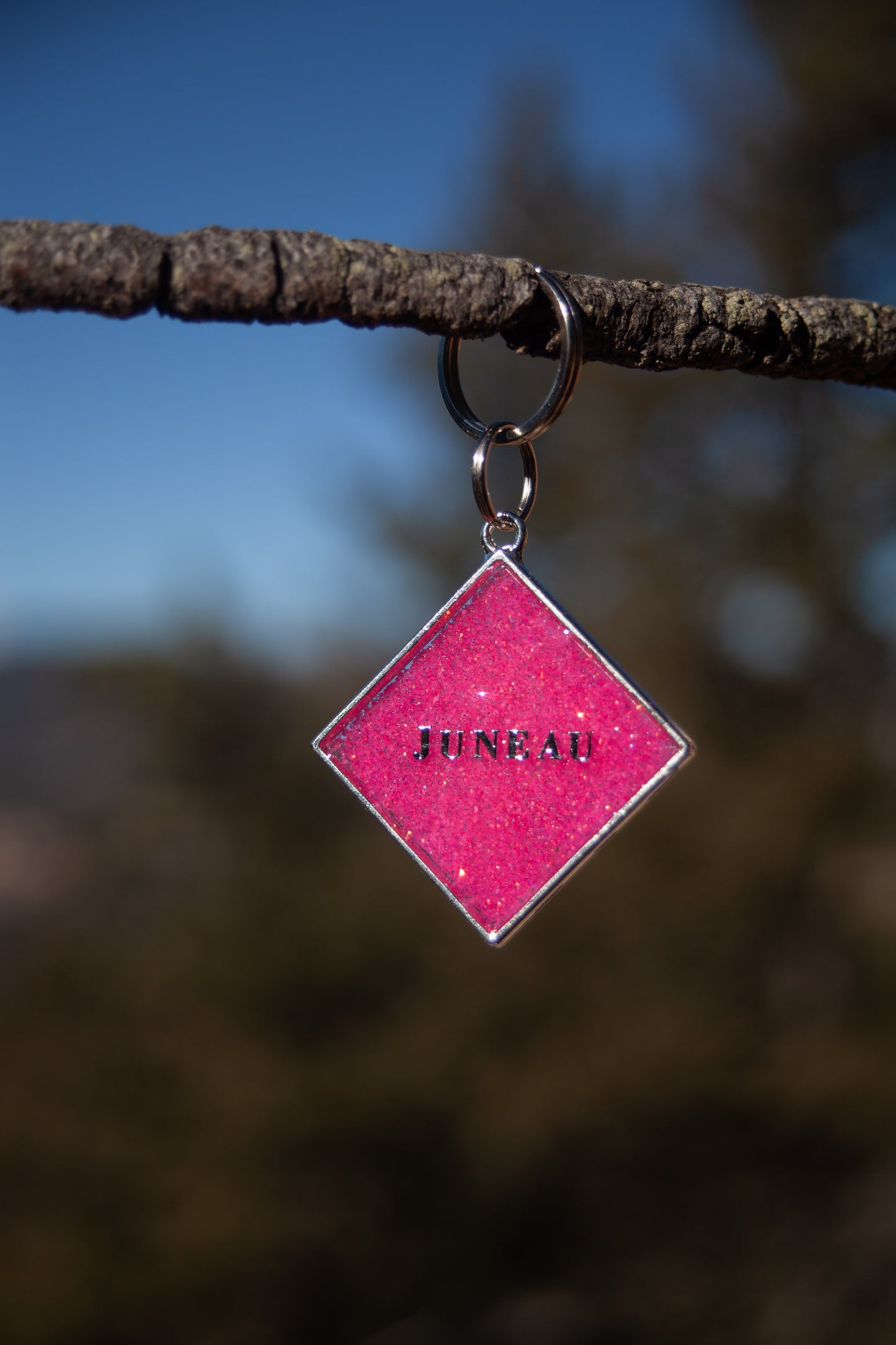 Color Block Tags