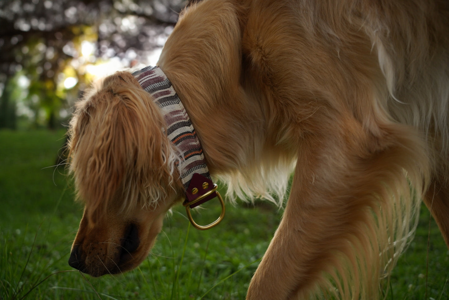 Mystery Guatemalan Collar