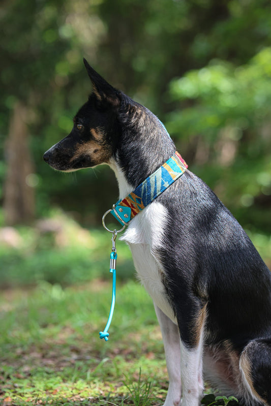 Echo Peaks Pendleton Collar
