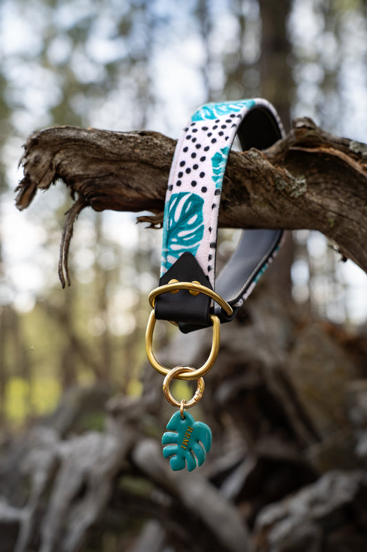 Monstera Velvet Collar