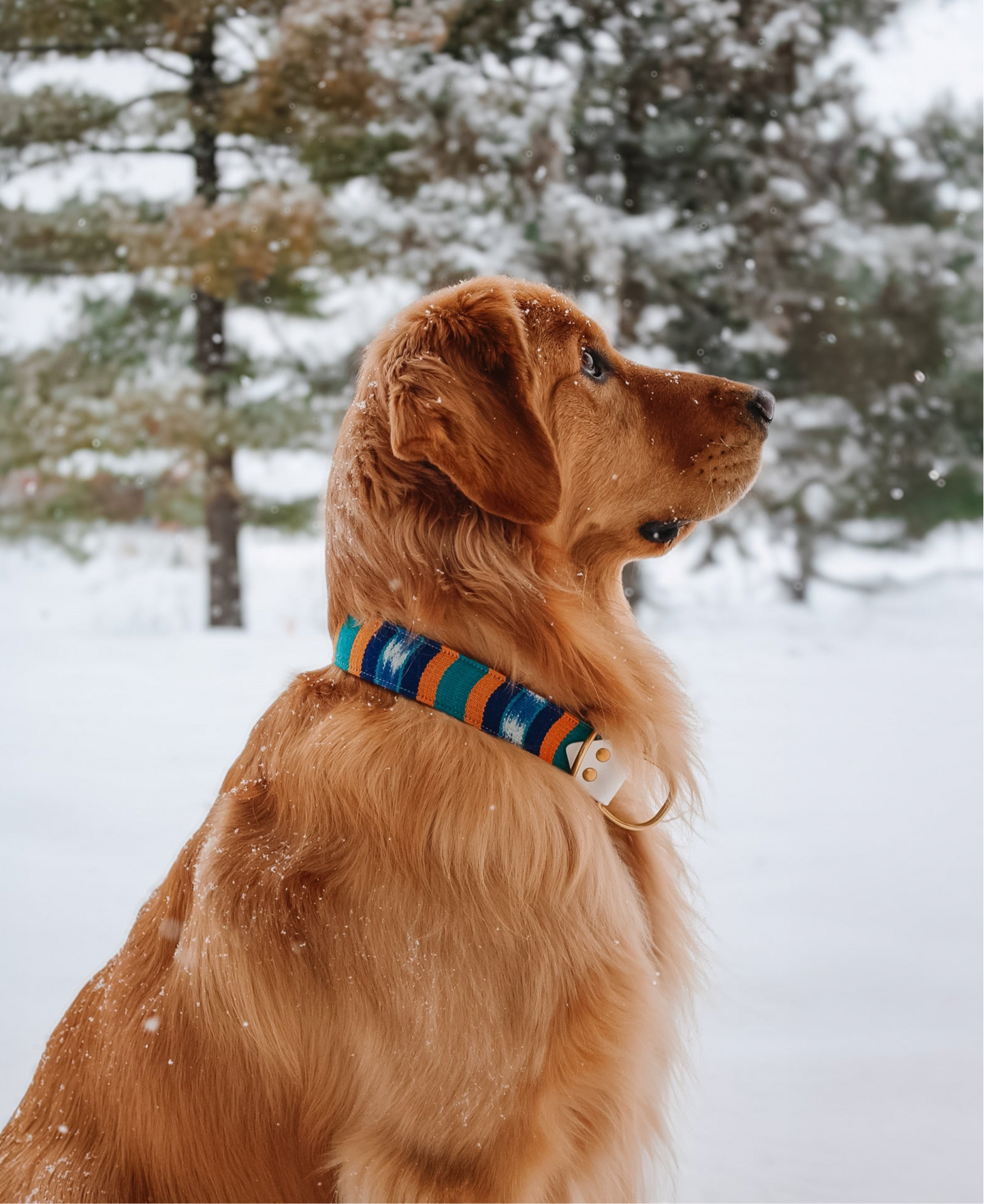Mystery Guatemalan Collar