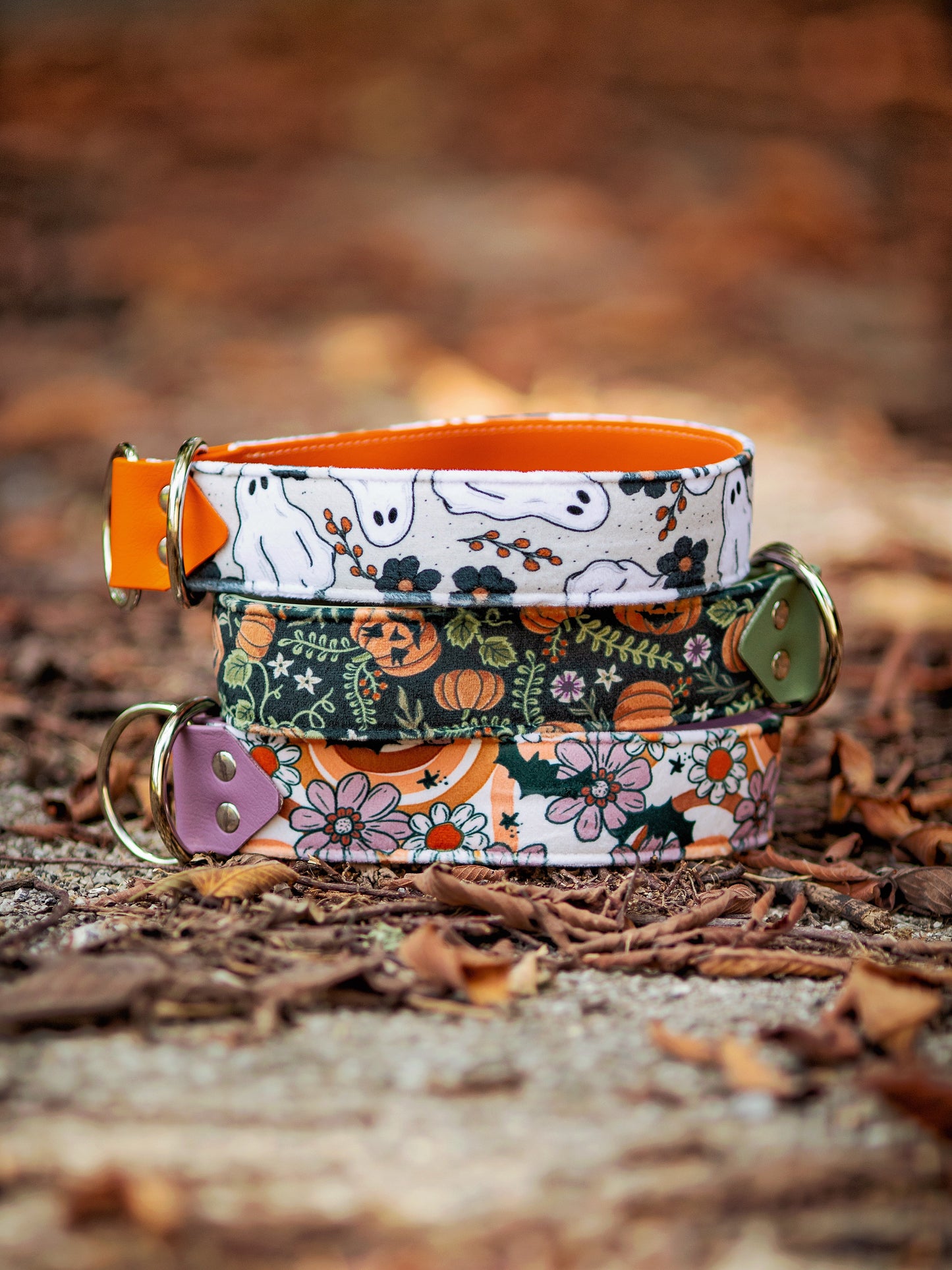 Haunted Harvest Velvet Collar