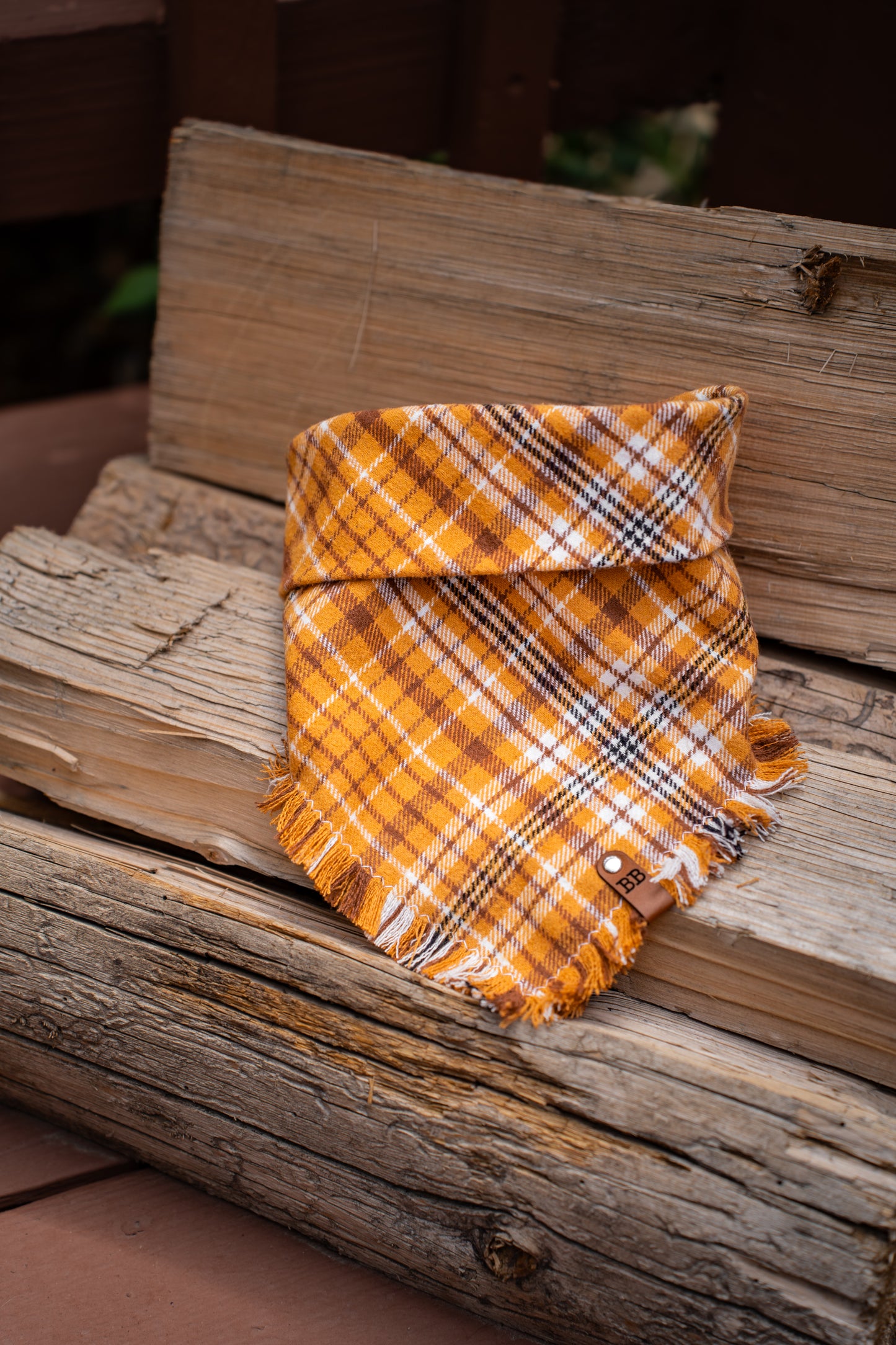 Stem Cider Bandana