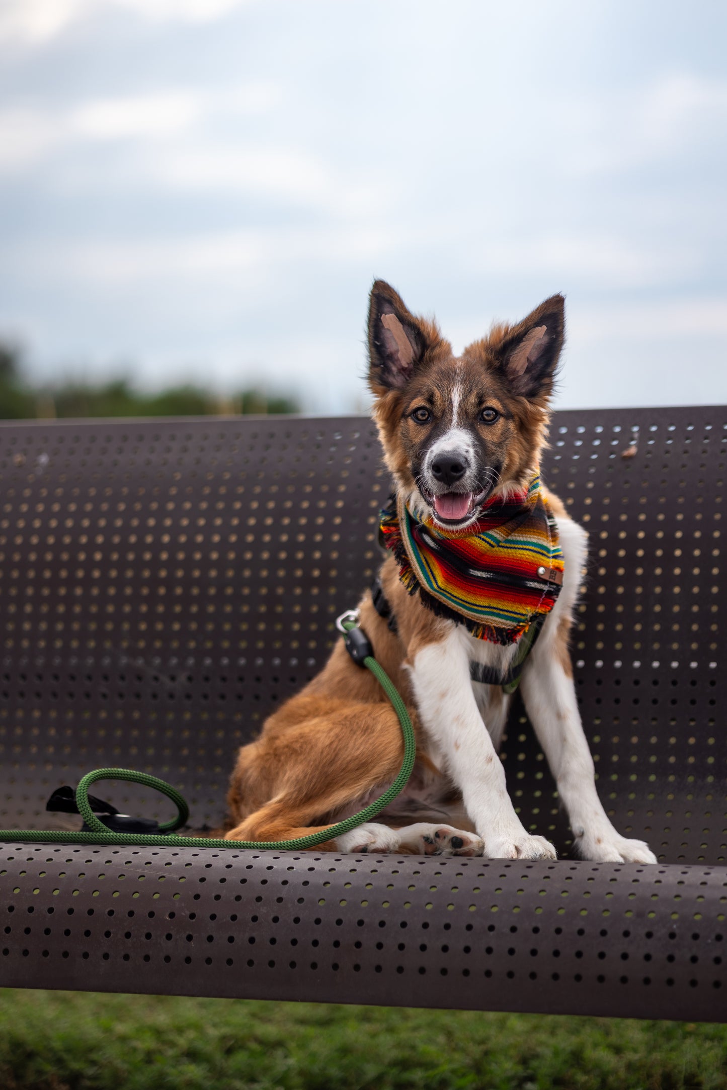Wildfire Bandana