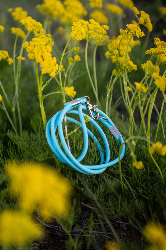 Rolled Adventure Leash