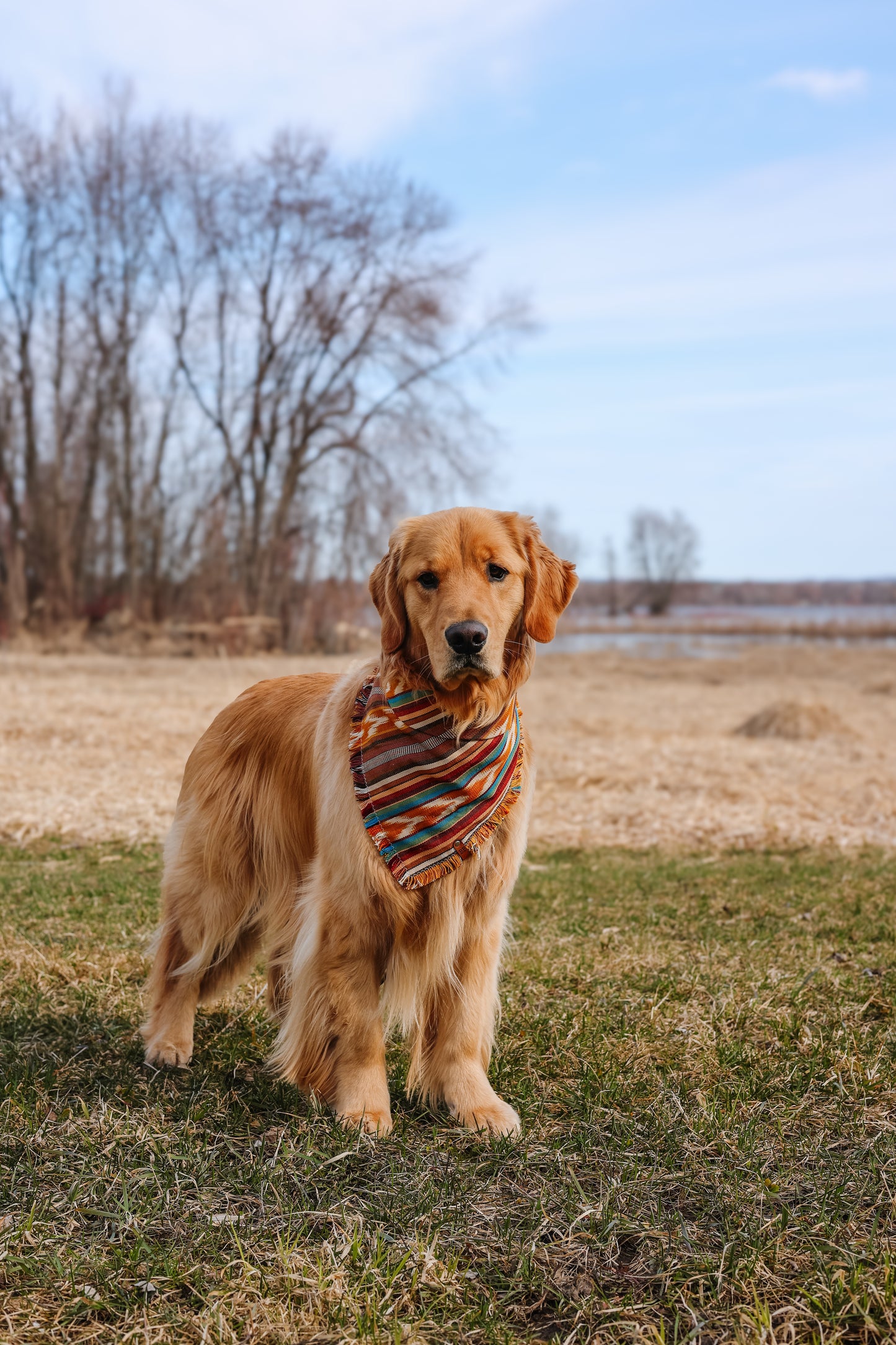 Wild West Bandana