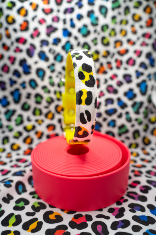 Rainbow Roar Velvet Collar