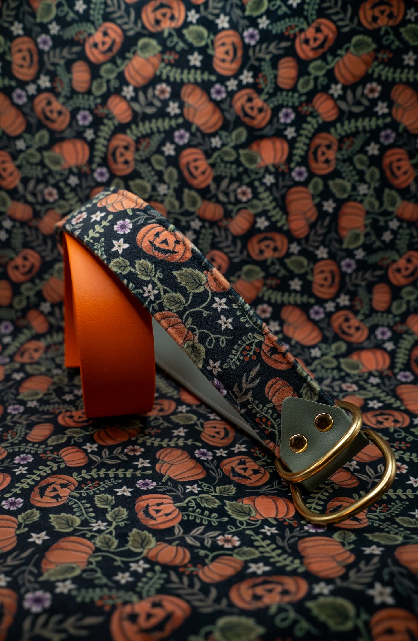 Haunted Harvest Velvet Collar
