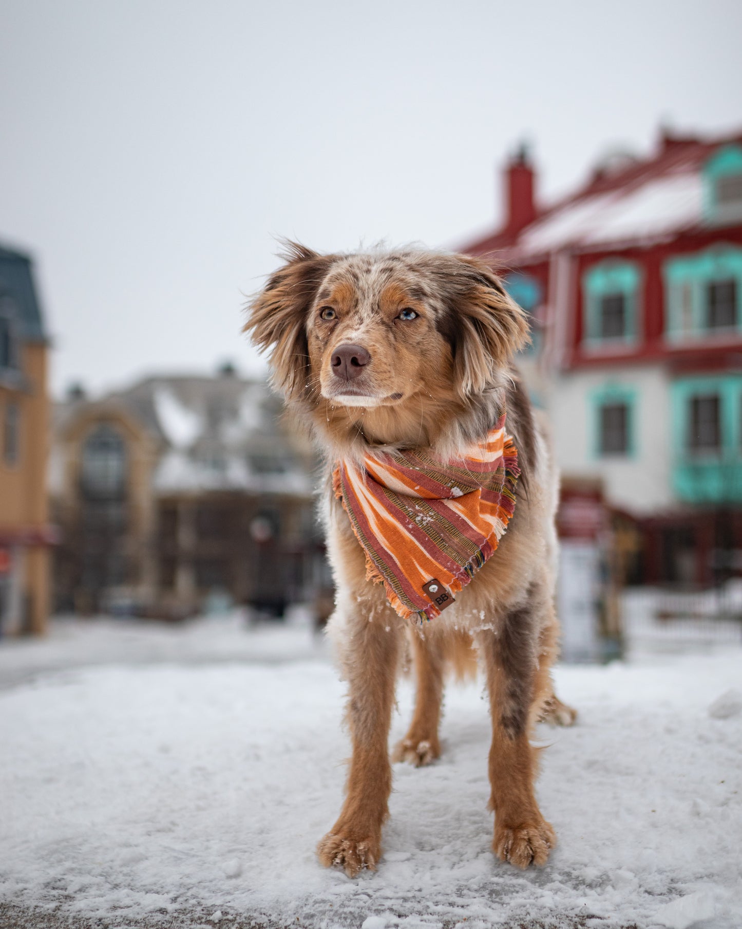 Vail Bandana