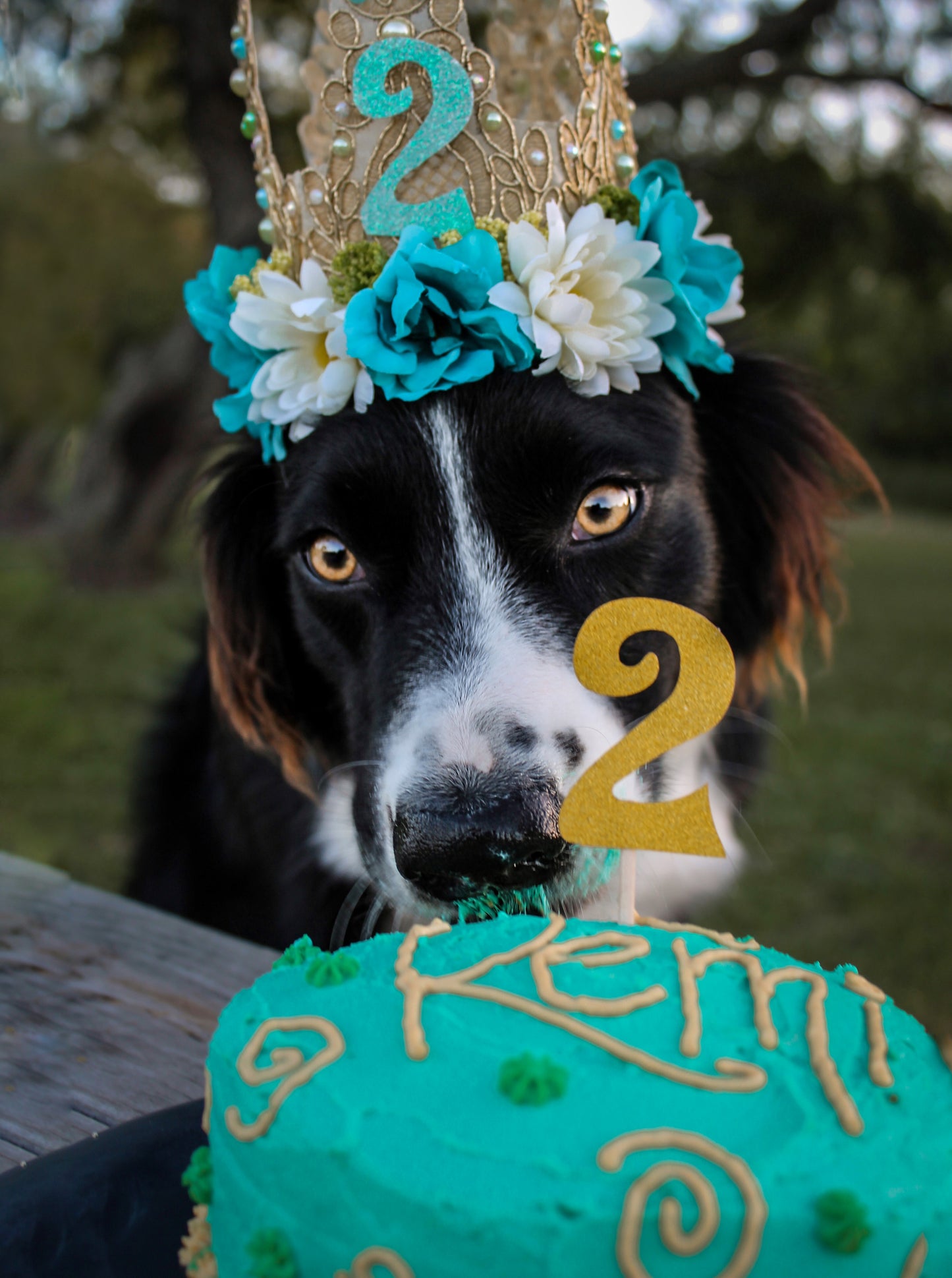 Birthday Flower Crown