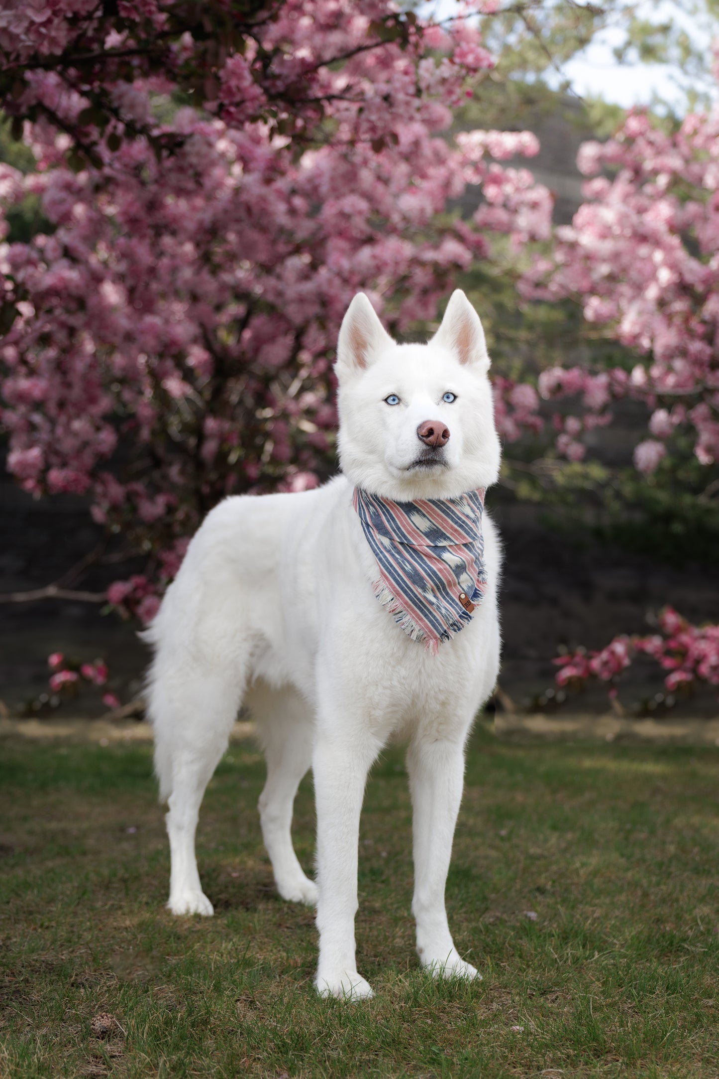 Sky Pond Bandana
