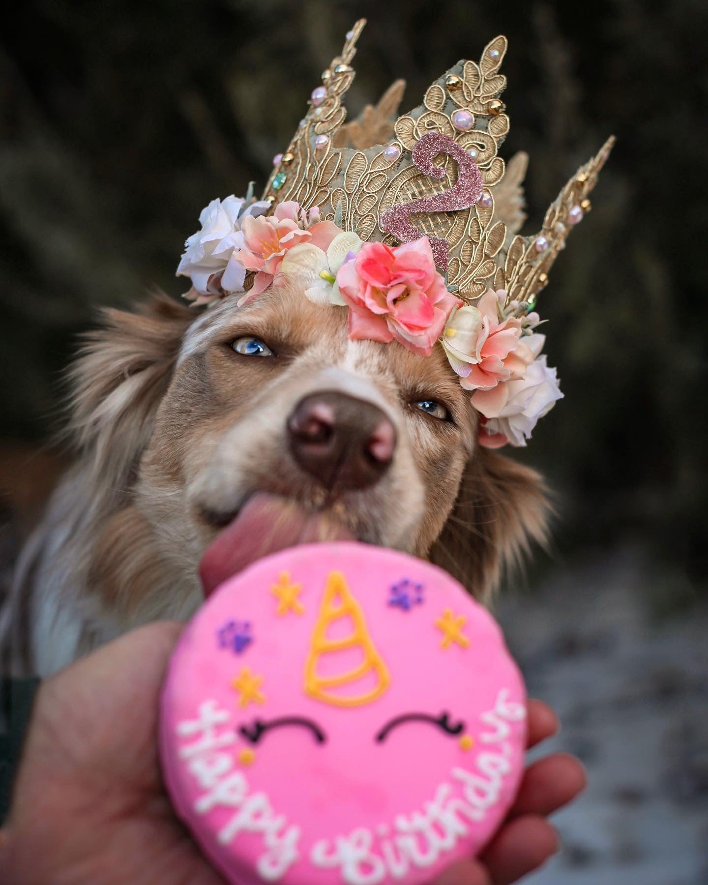 Birthday Flower Crown