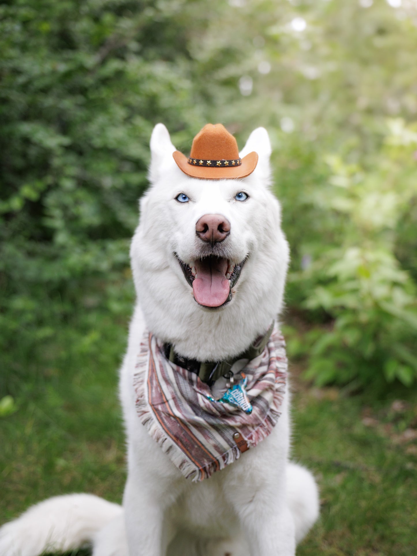 Brandywine Bandana