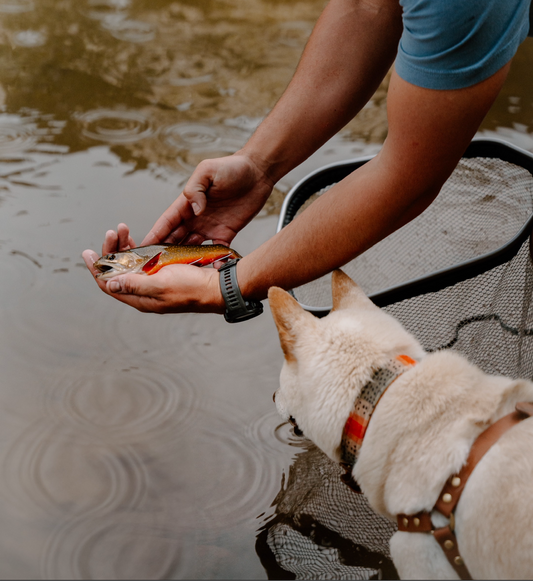 Trout Velvet Collars