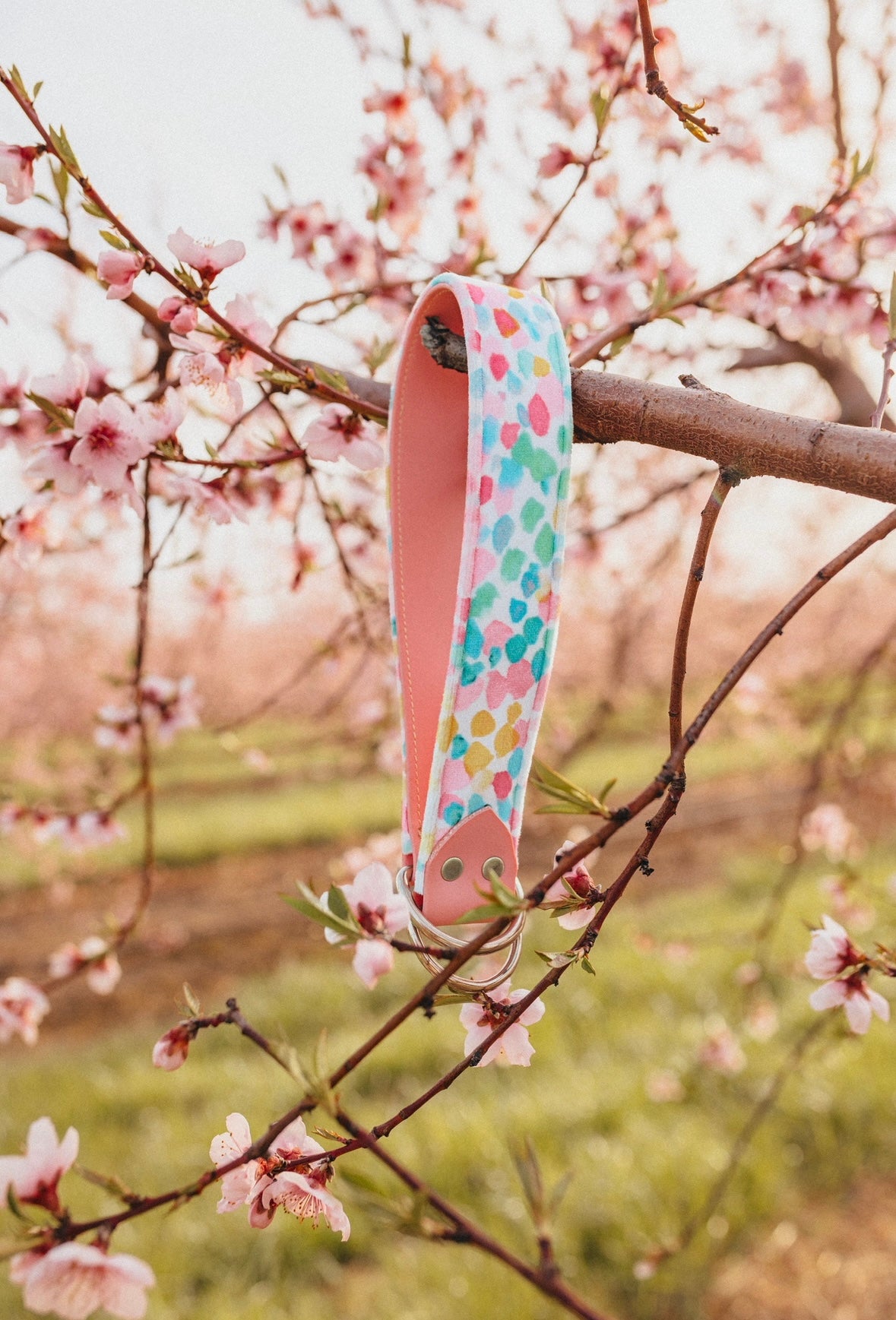 Summer Spotted Velvet Collar