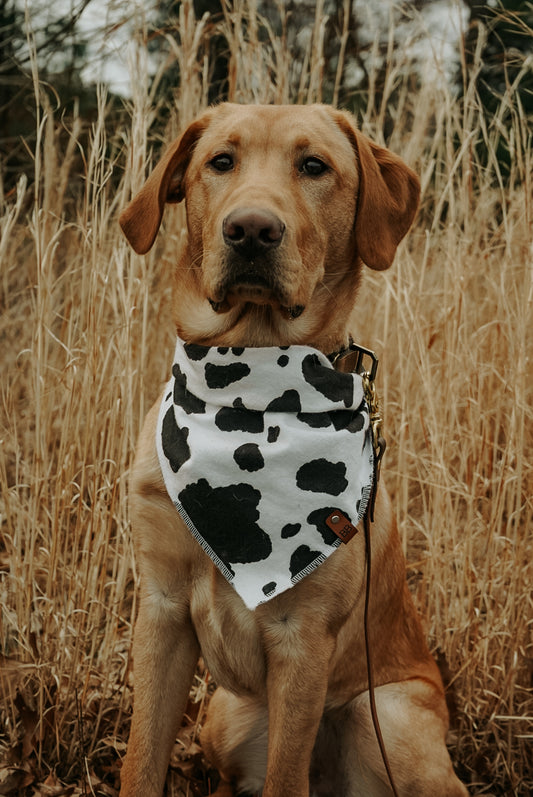 Holy Cow Bandana