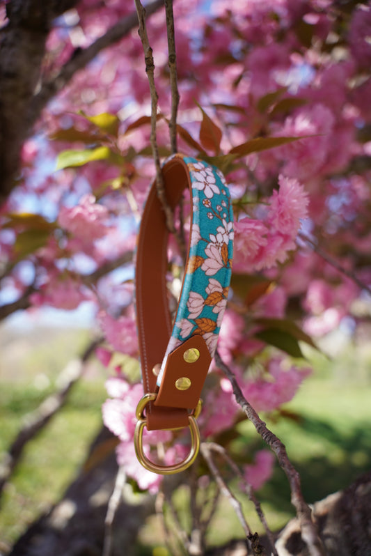 Magnolia Velvet Collar