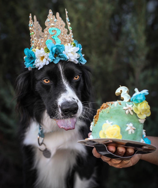 Birthday Flower Crown