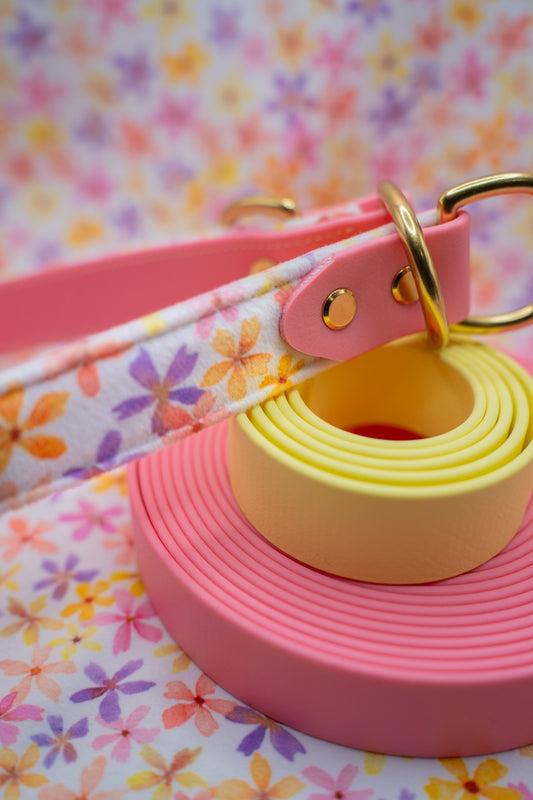 Starburst Petals Velvet Collar