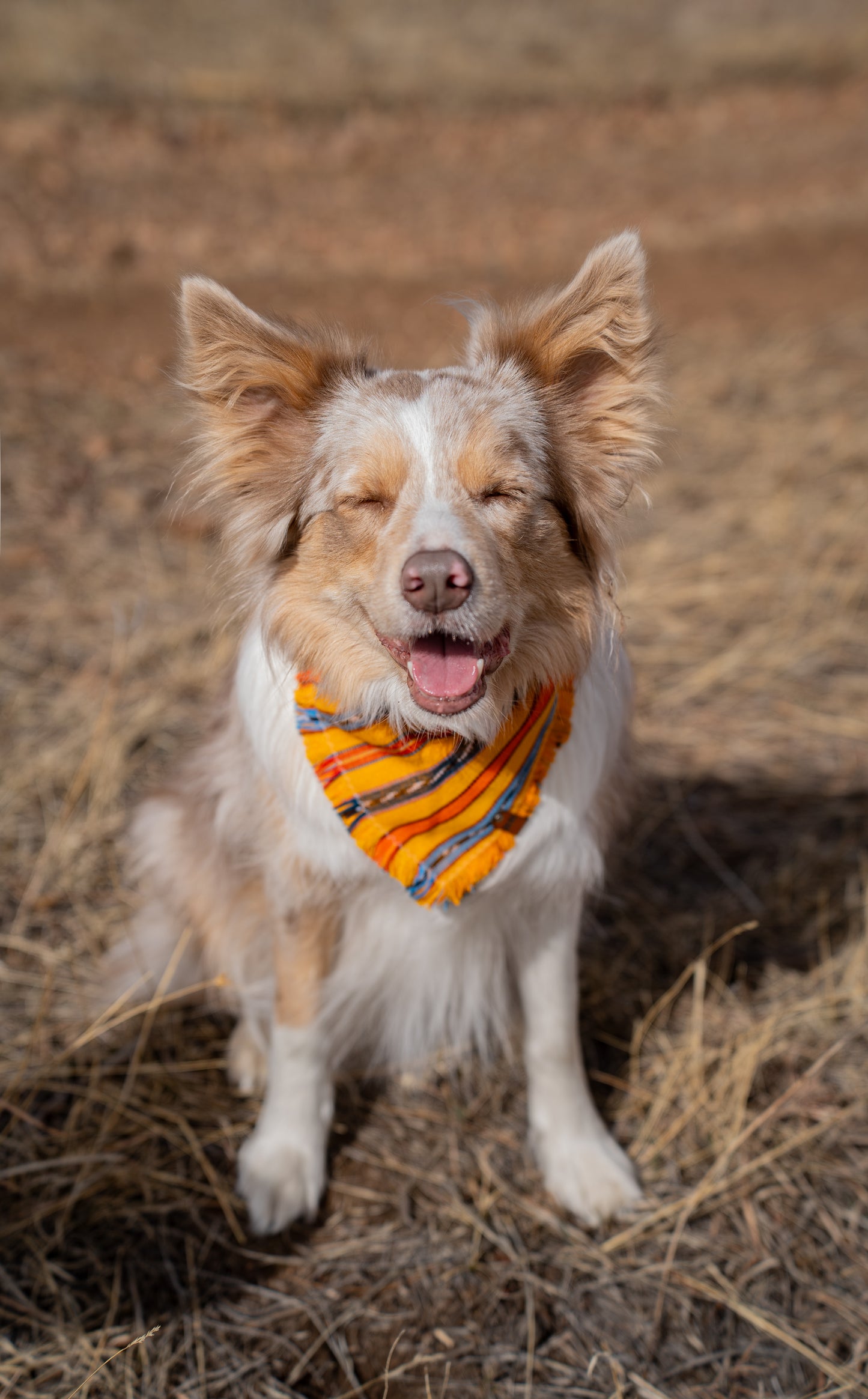 Pineapple Express Bandana