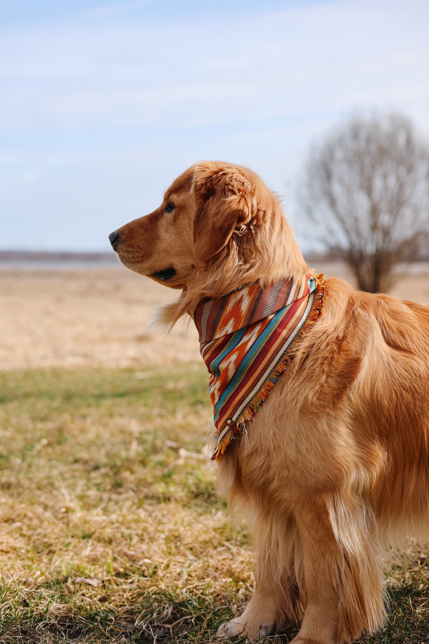 Wild West Bandana