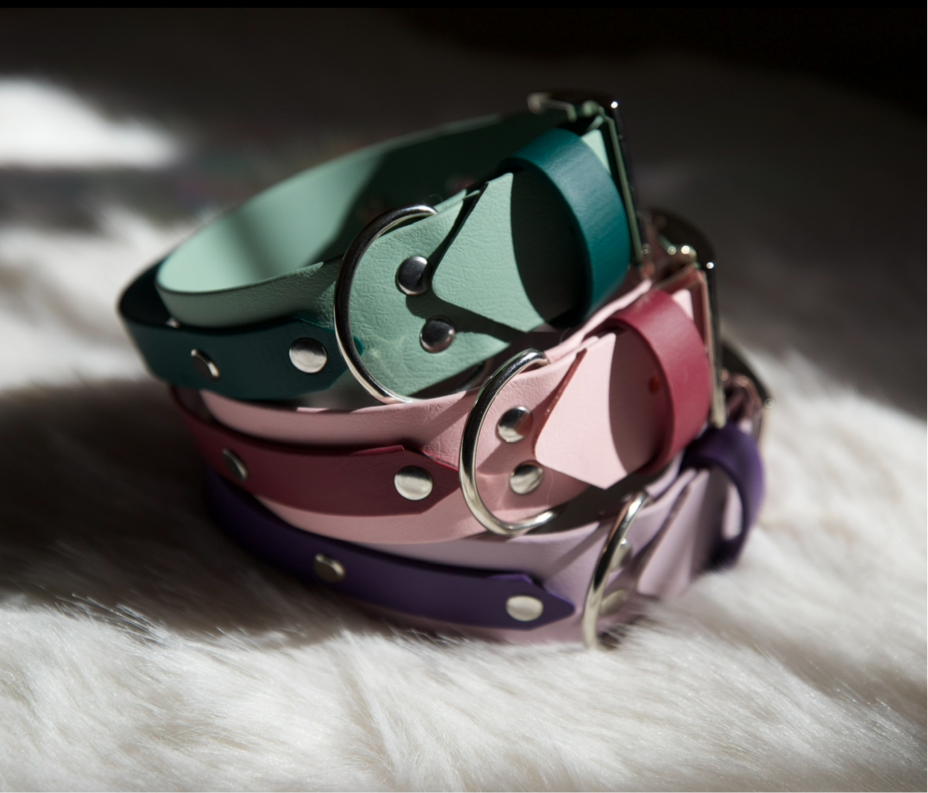 Roam Collar