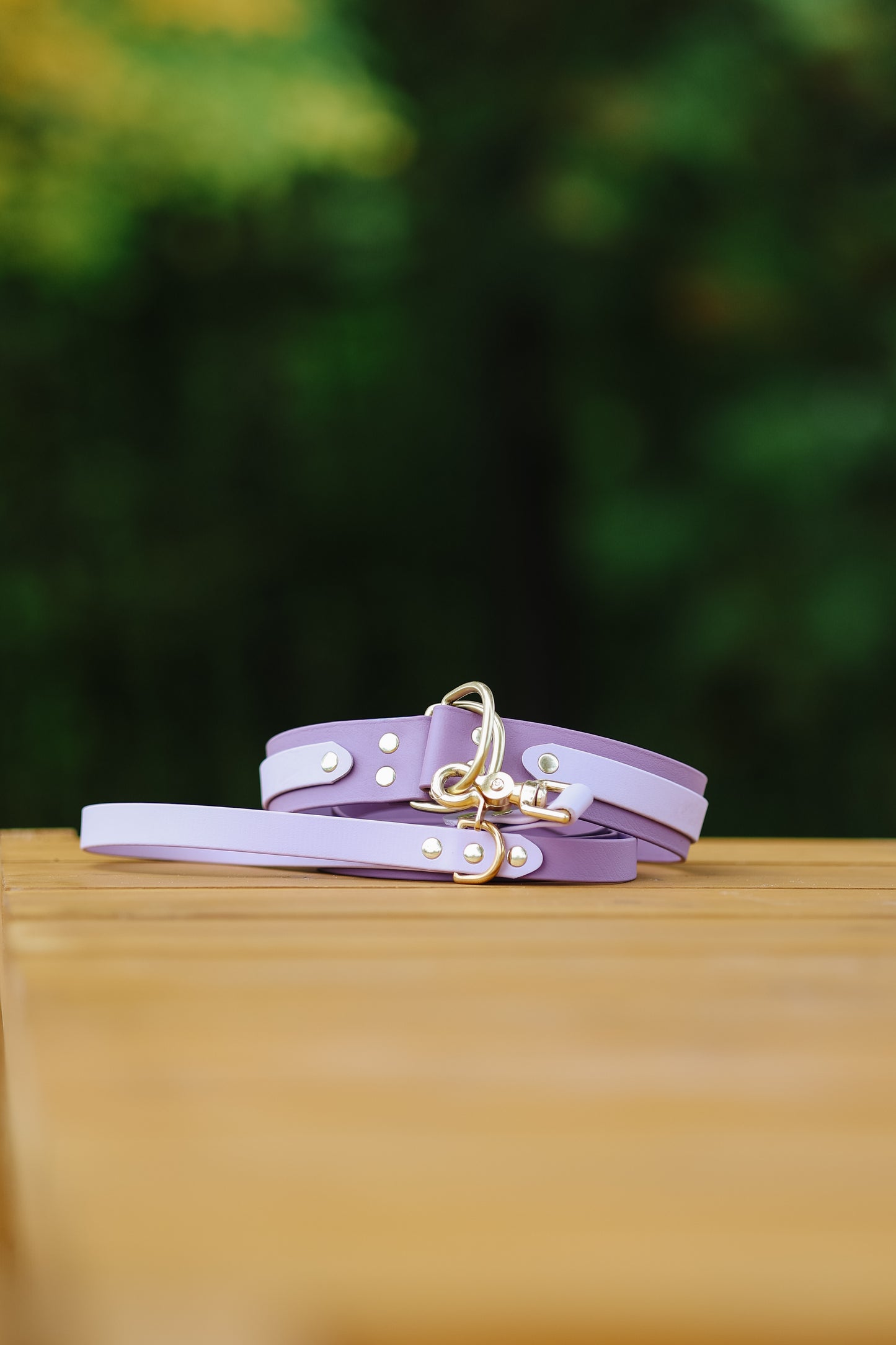 Collar and Leash Bundle
