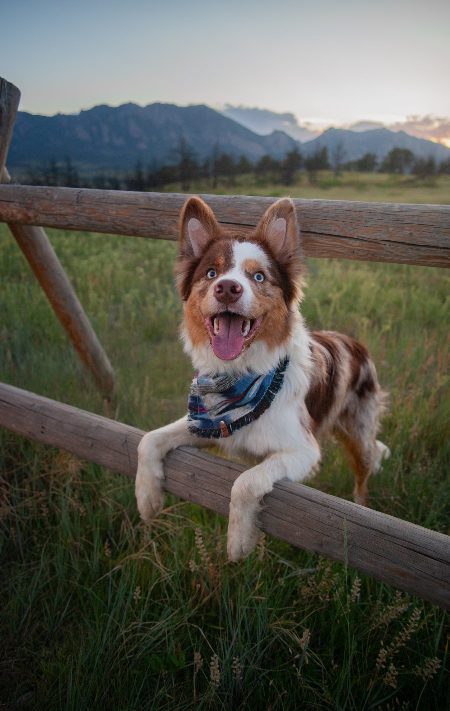 Cascade Bandana