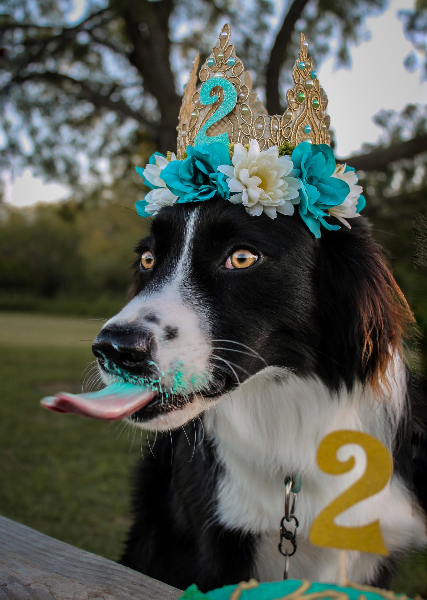 Birthday Flower Crown
