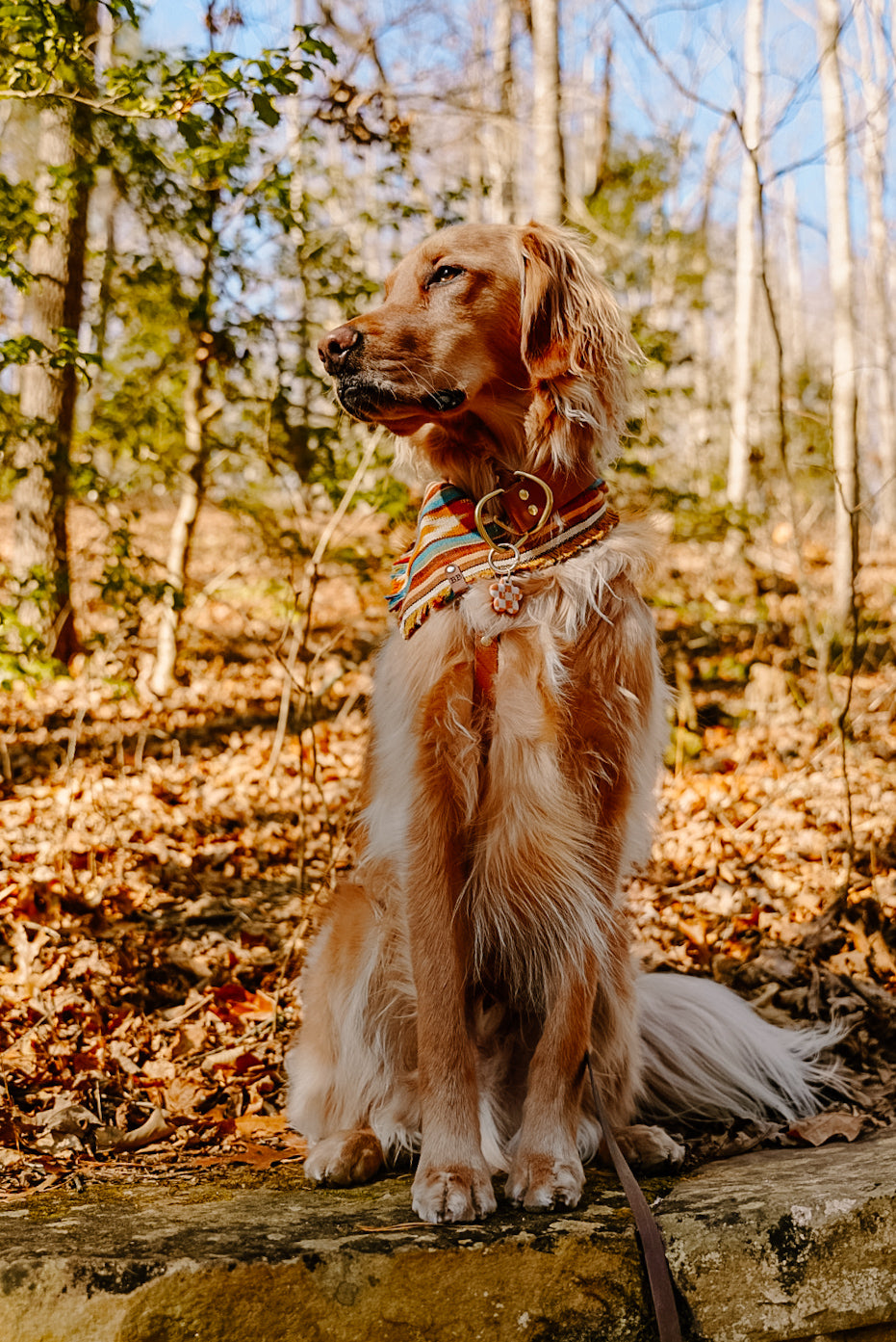 Wild West Bandana