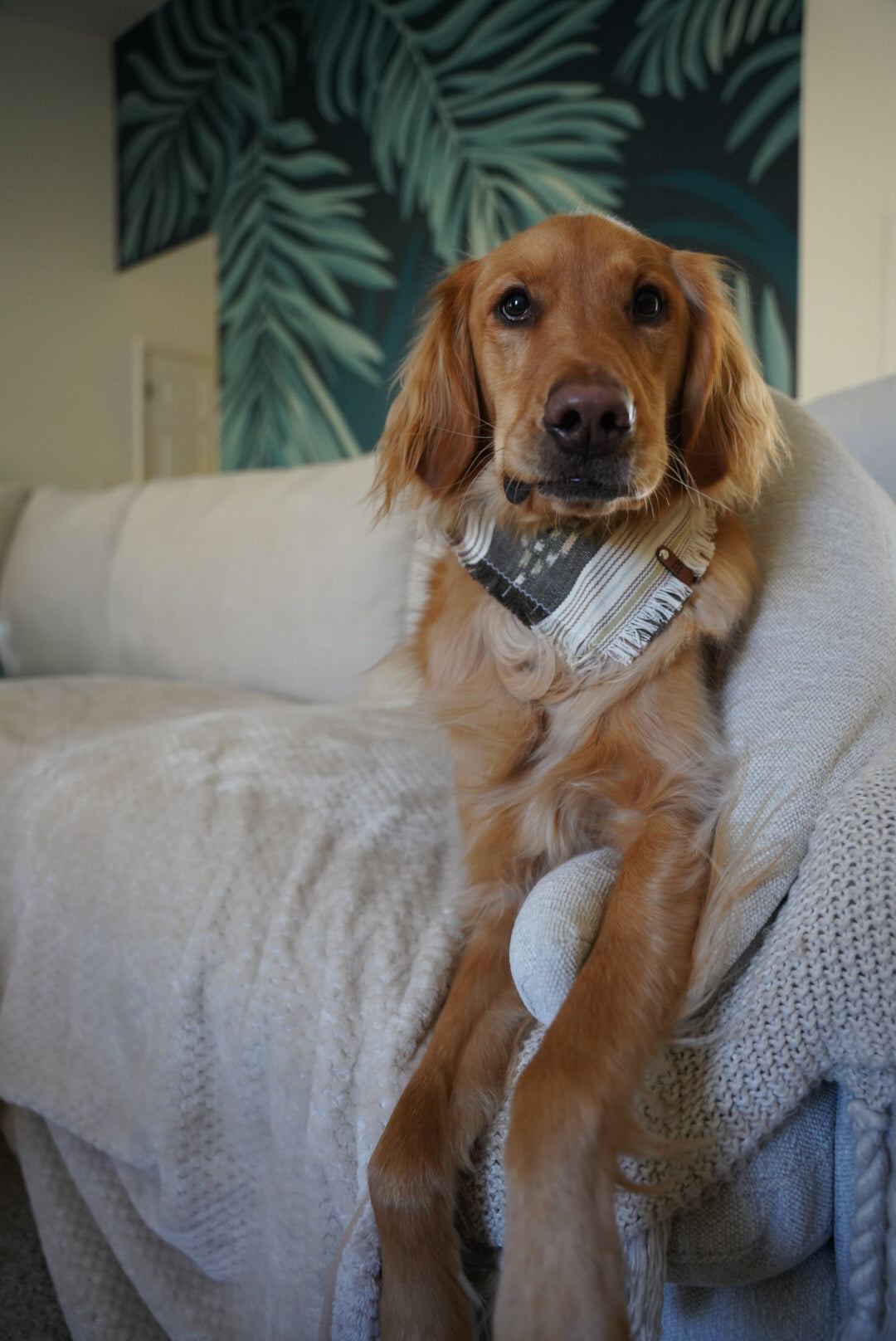 Lupine Bandana