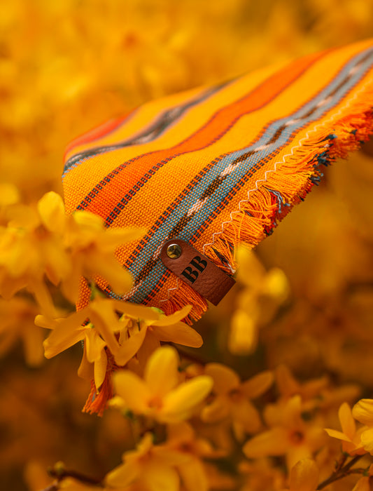 Pineapple Express Bandana
