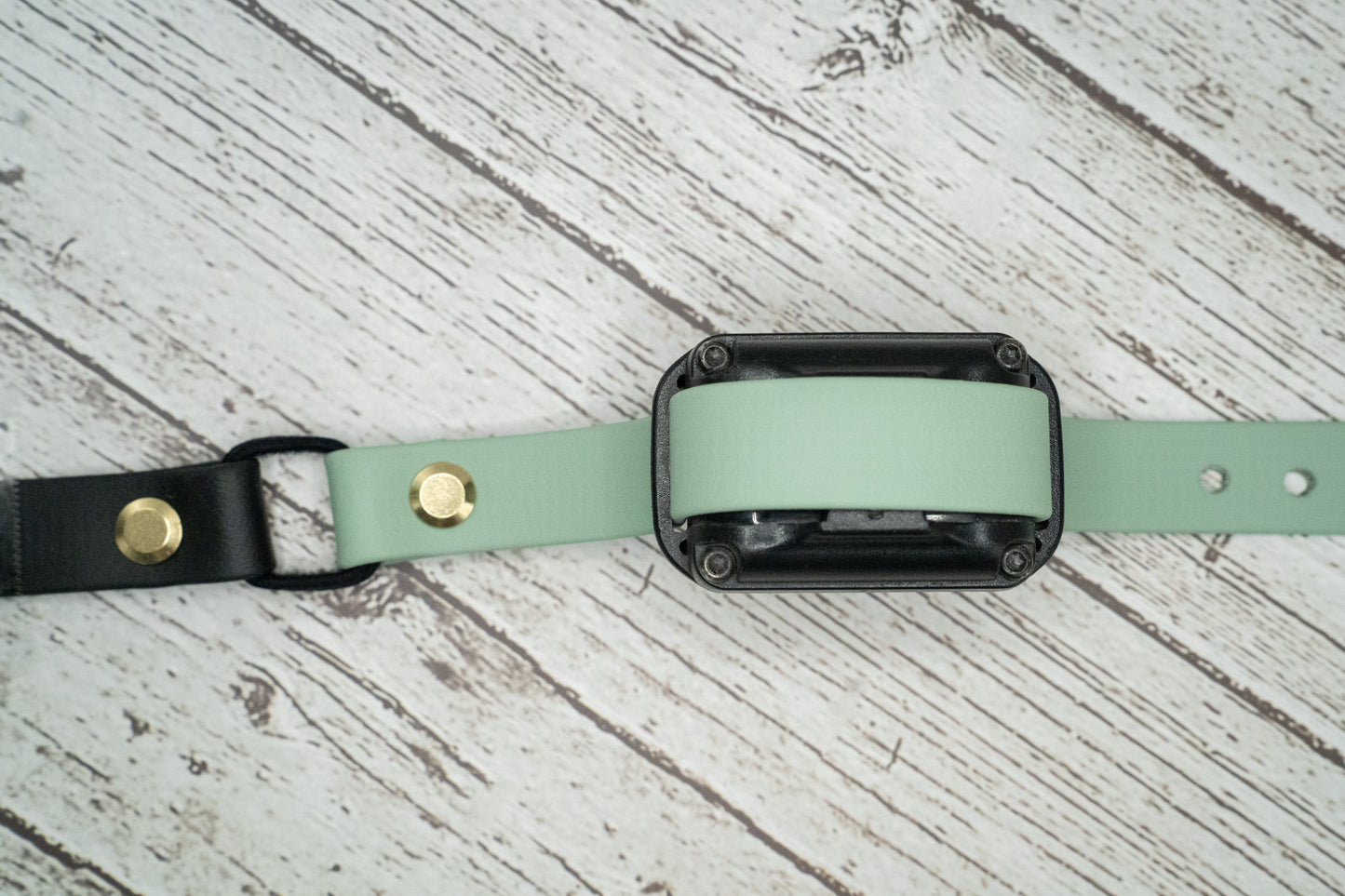 Bungee E-Collar Strap