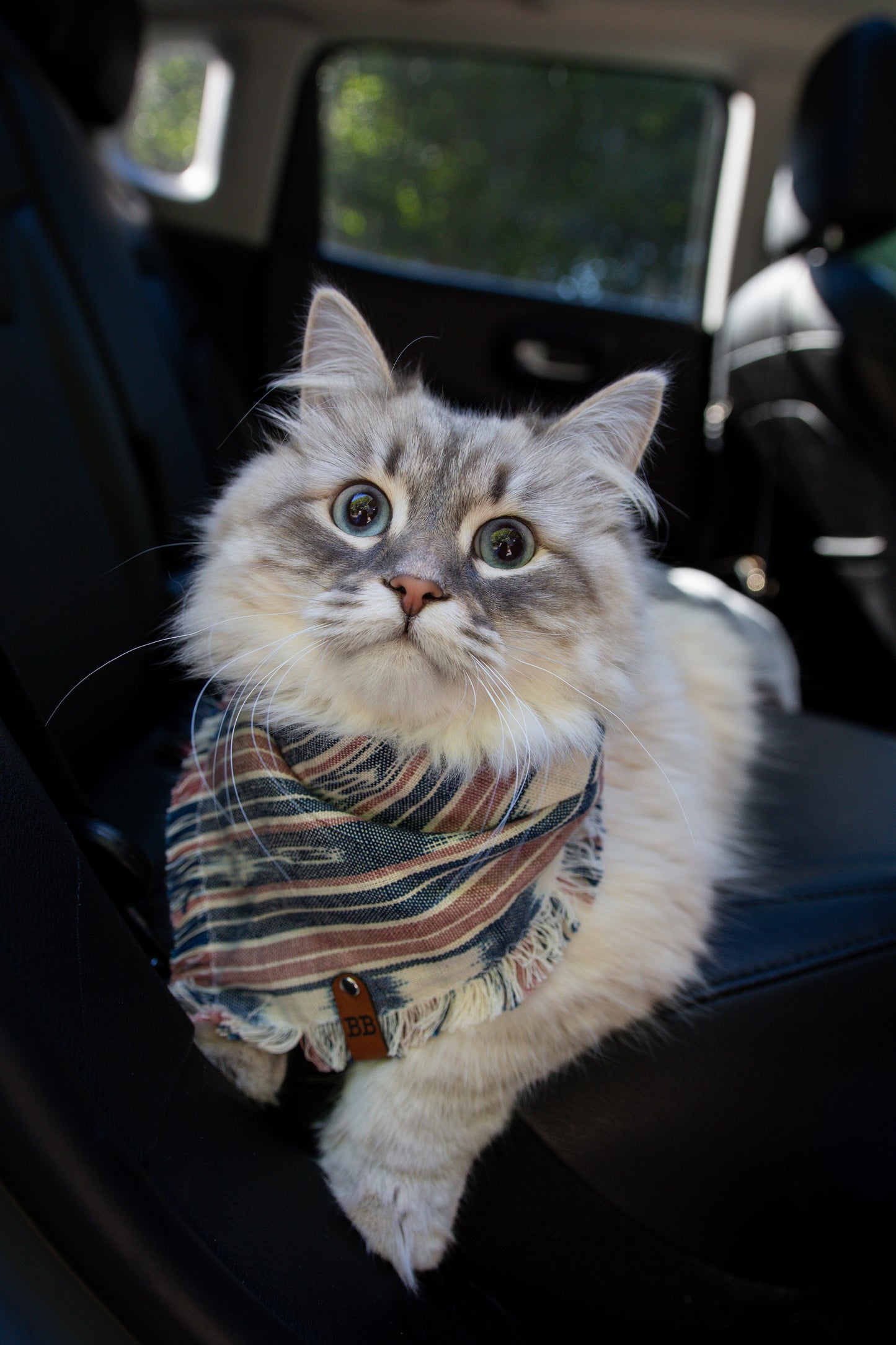 Sky Pond Bandana