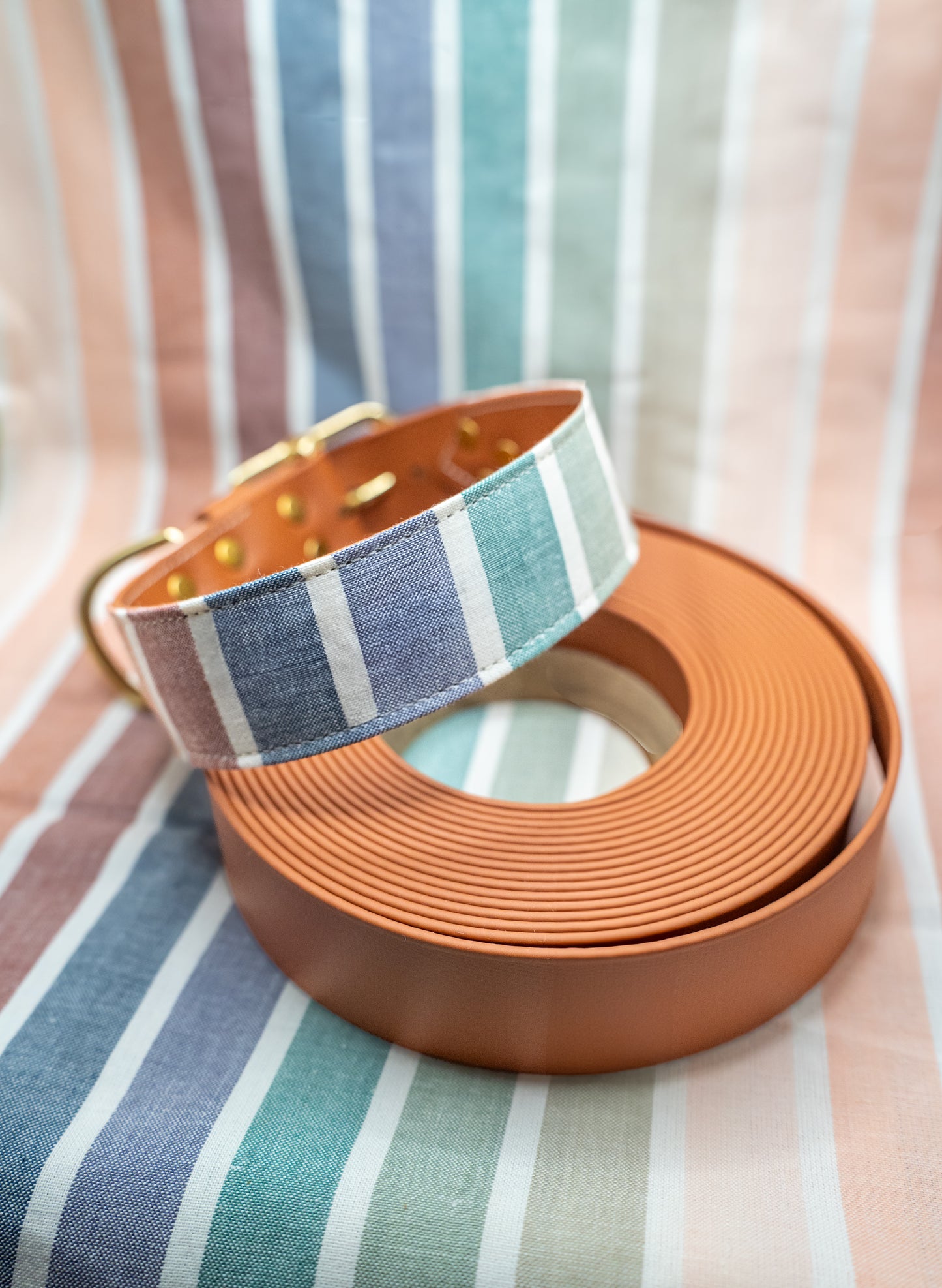 Pride Fableism Collar
