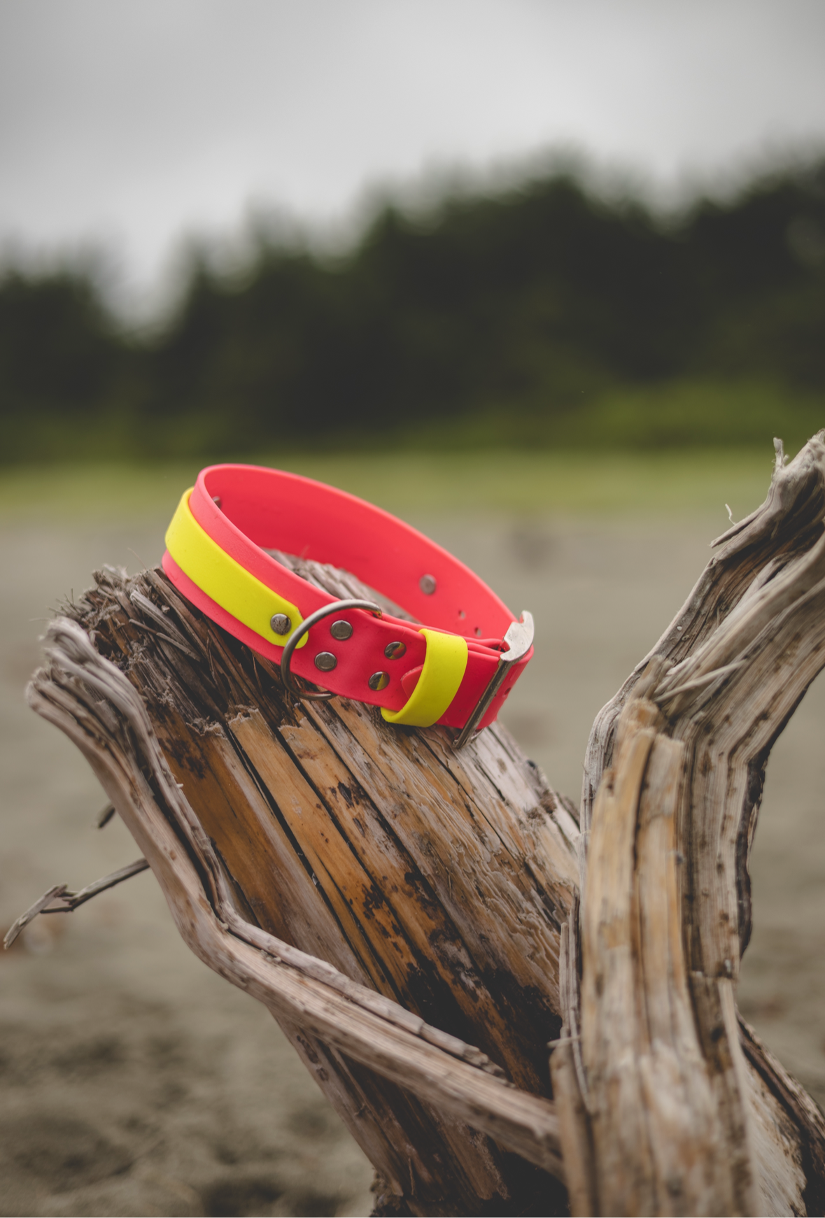 Double Layer Adventure Collar