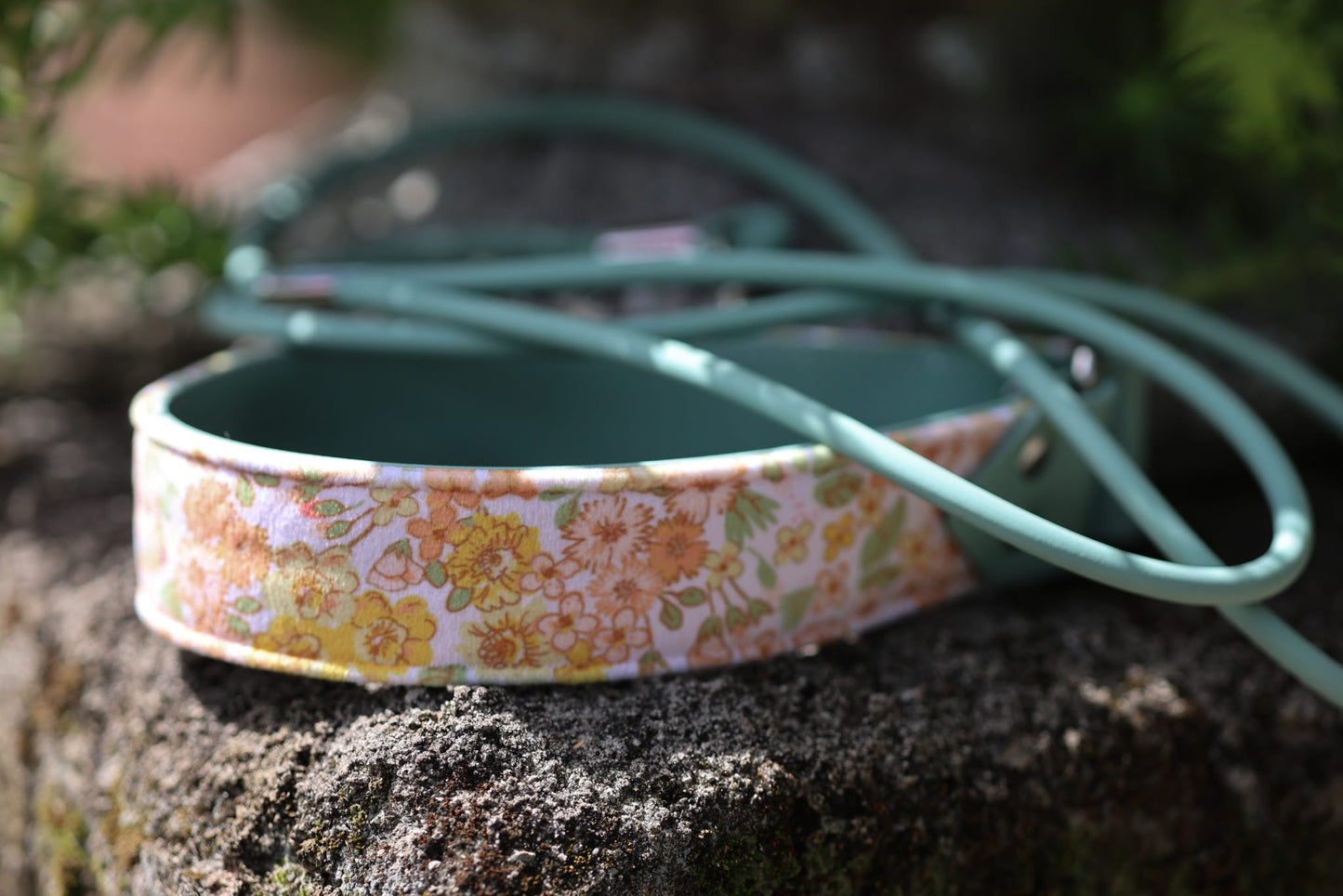 Buttercup Velvet Collar
