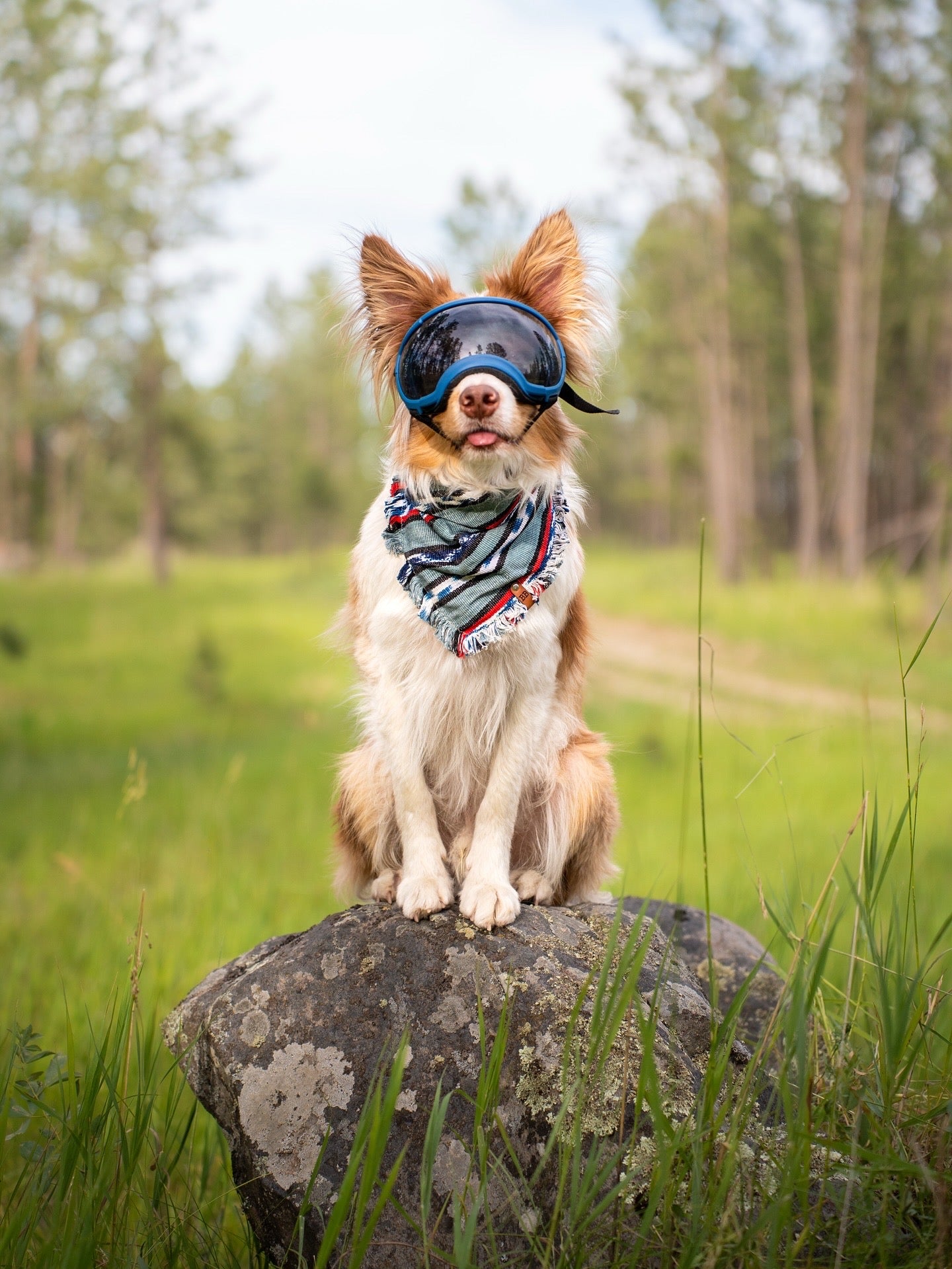 Liberty Bandana