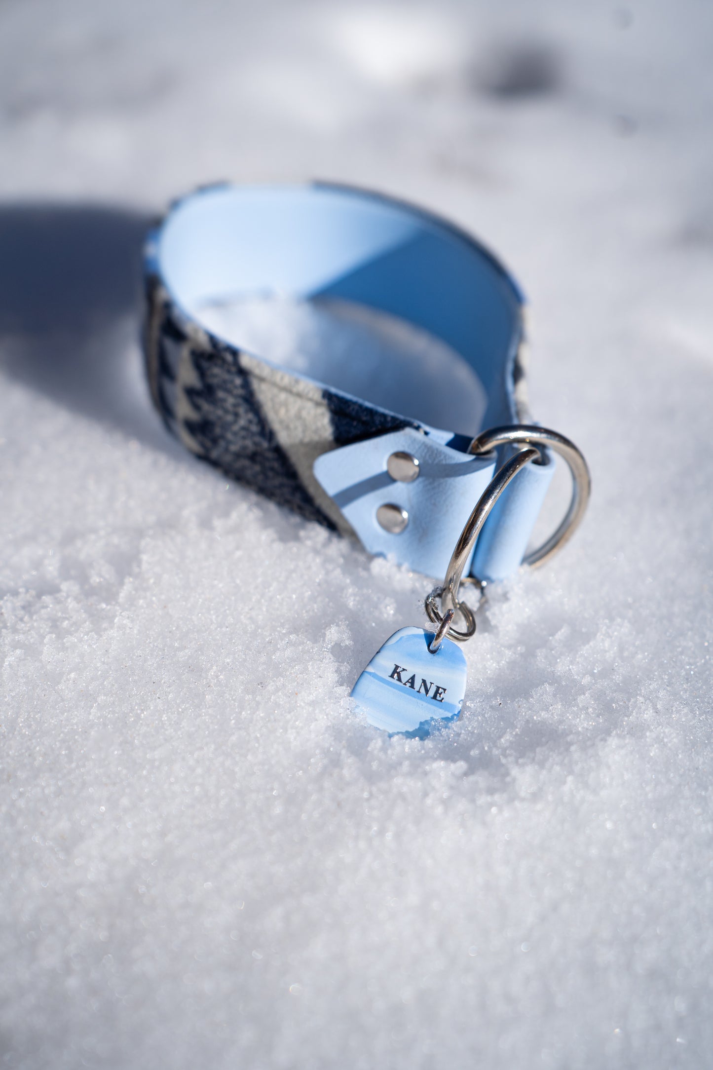 Trailhead Pendleton Collar