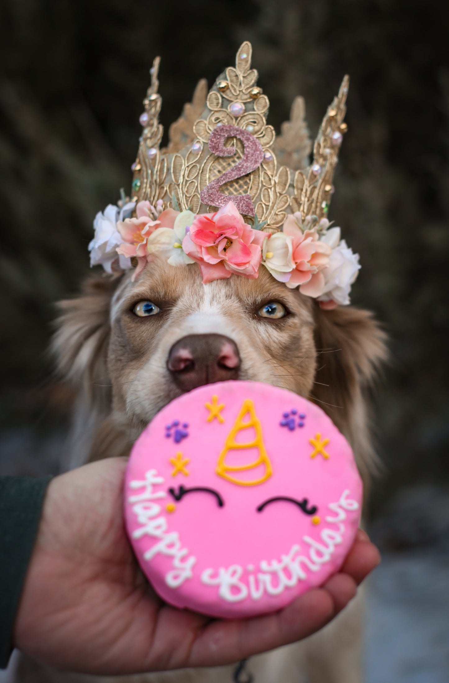Birthday Flower Crown