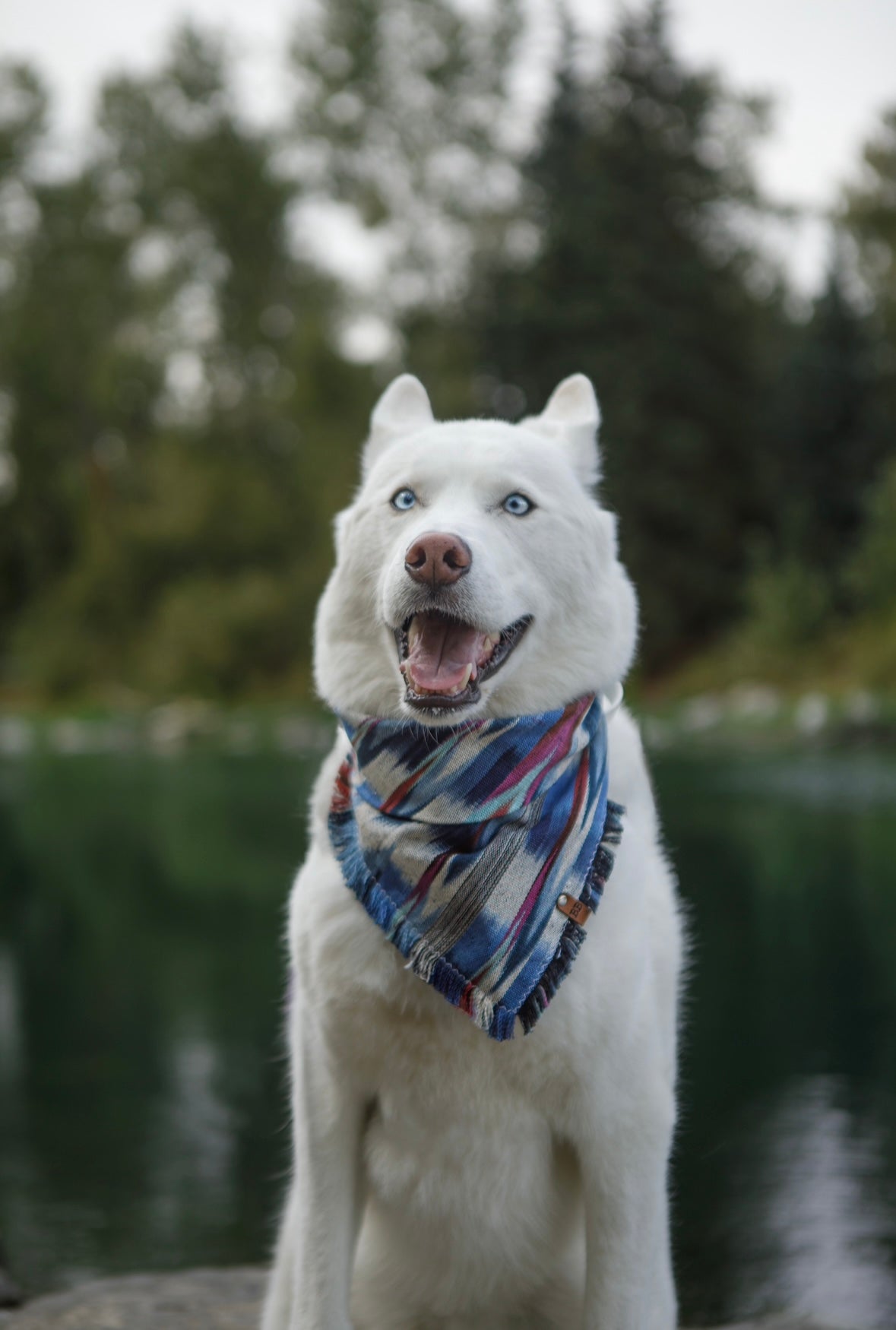 Cascade Bandana