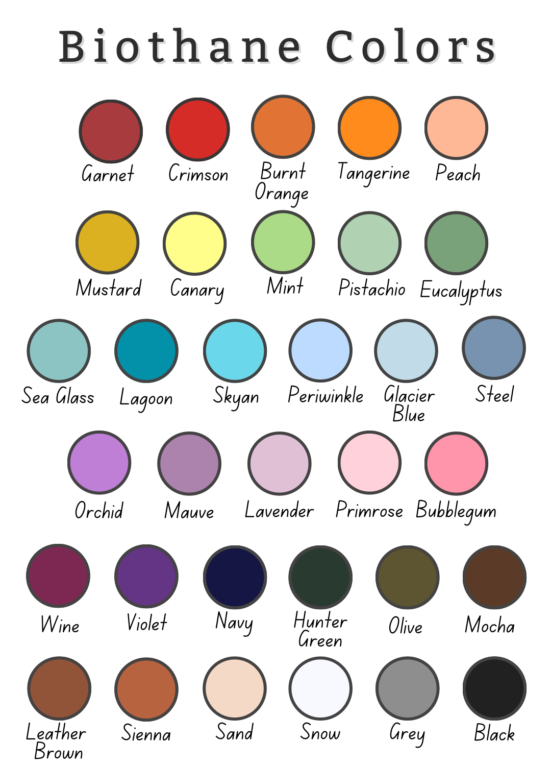 Quest Collar and Leash Bundle