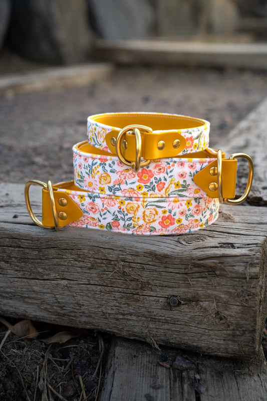 Marigold Velvet Collar