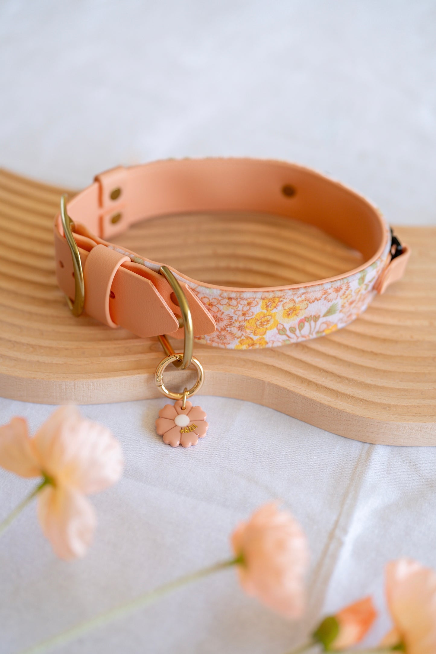 Buttercup Velvet Collar